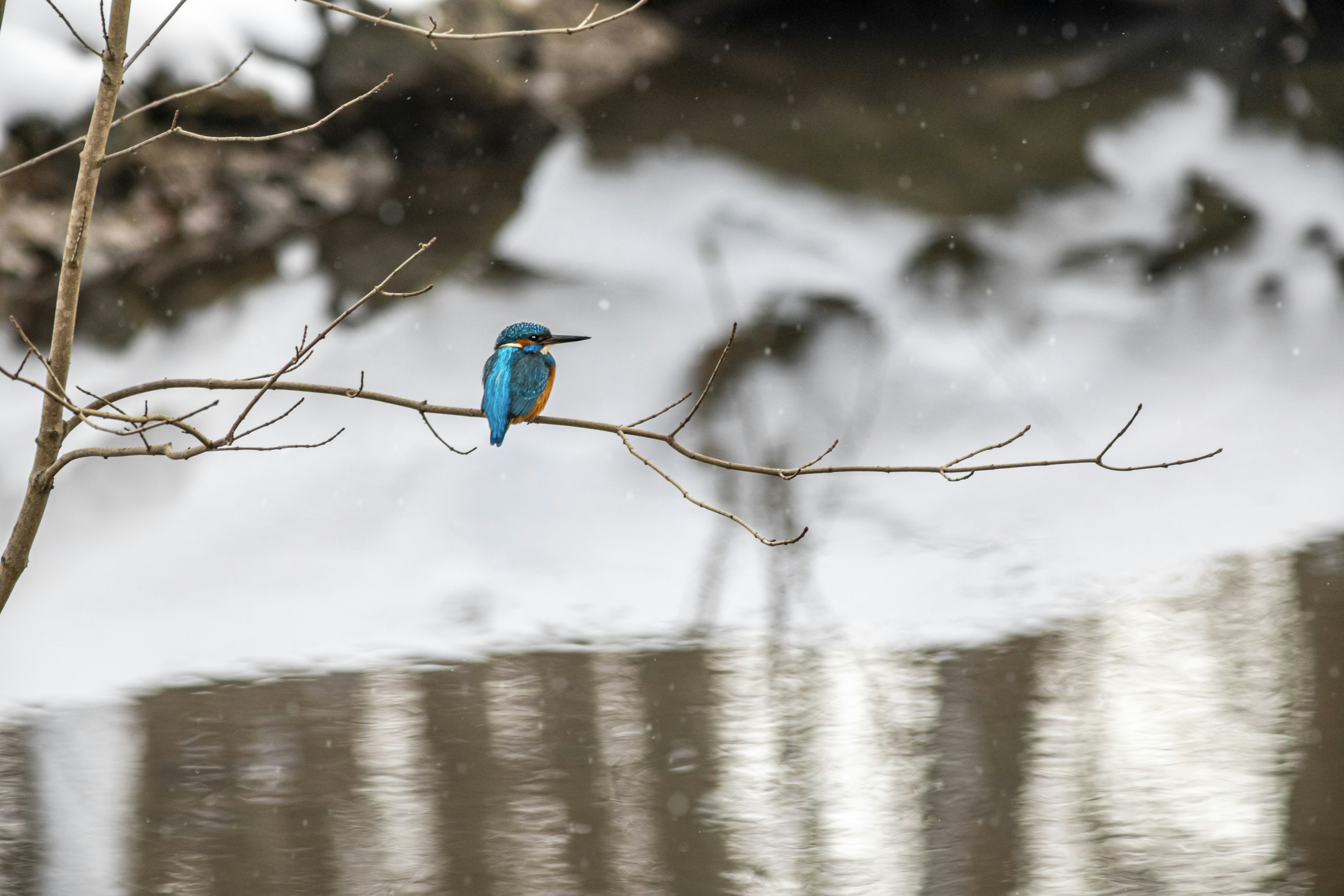 Photo by erik_karits