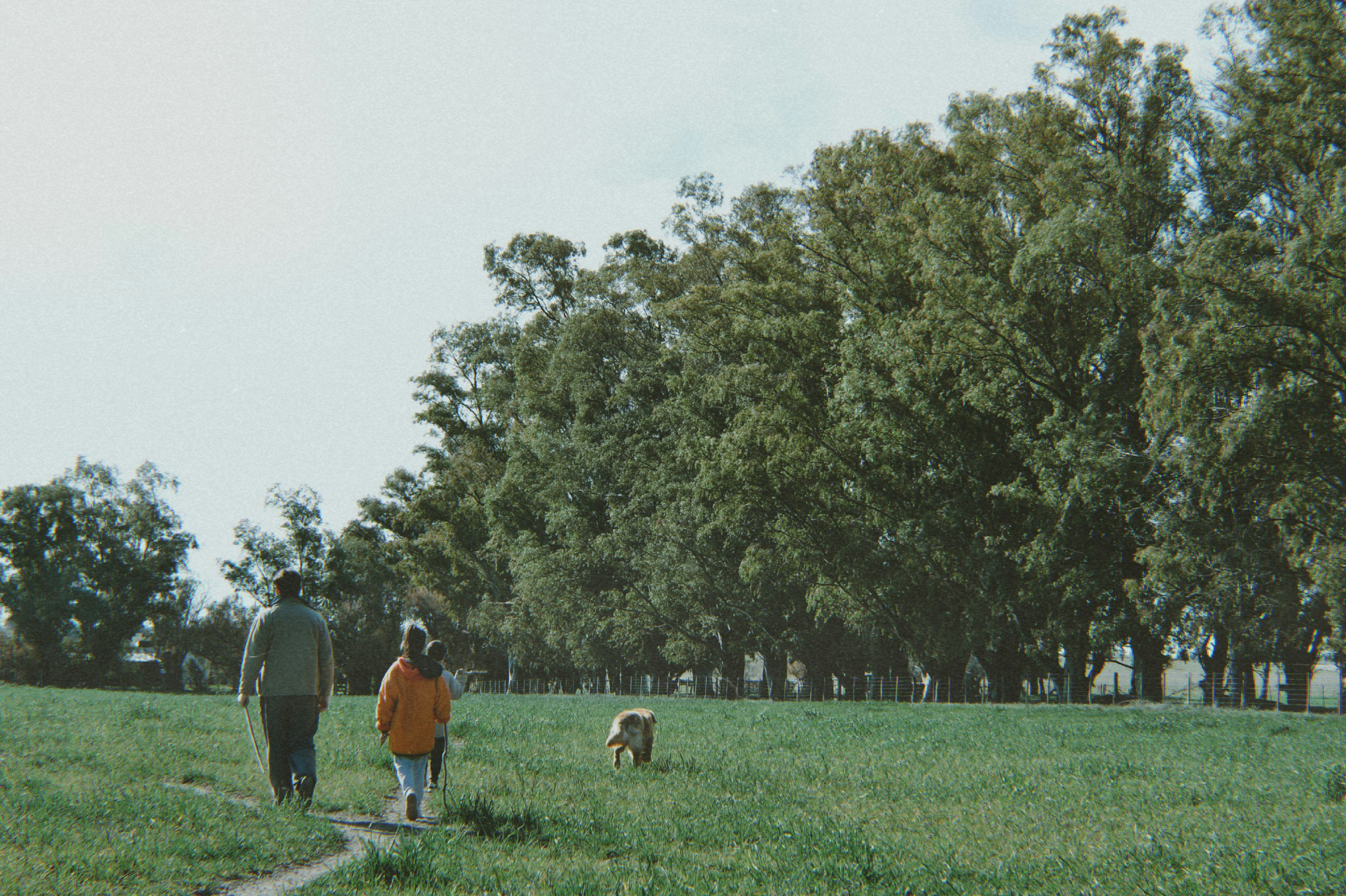 Photo by mariamartin