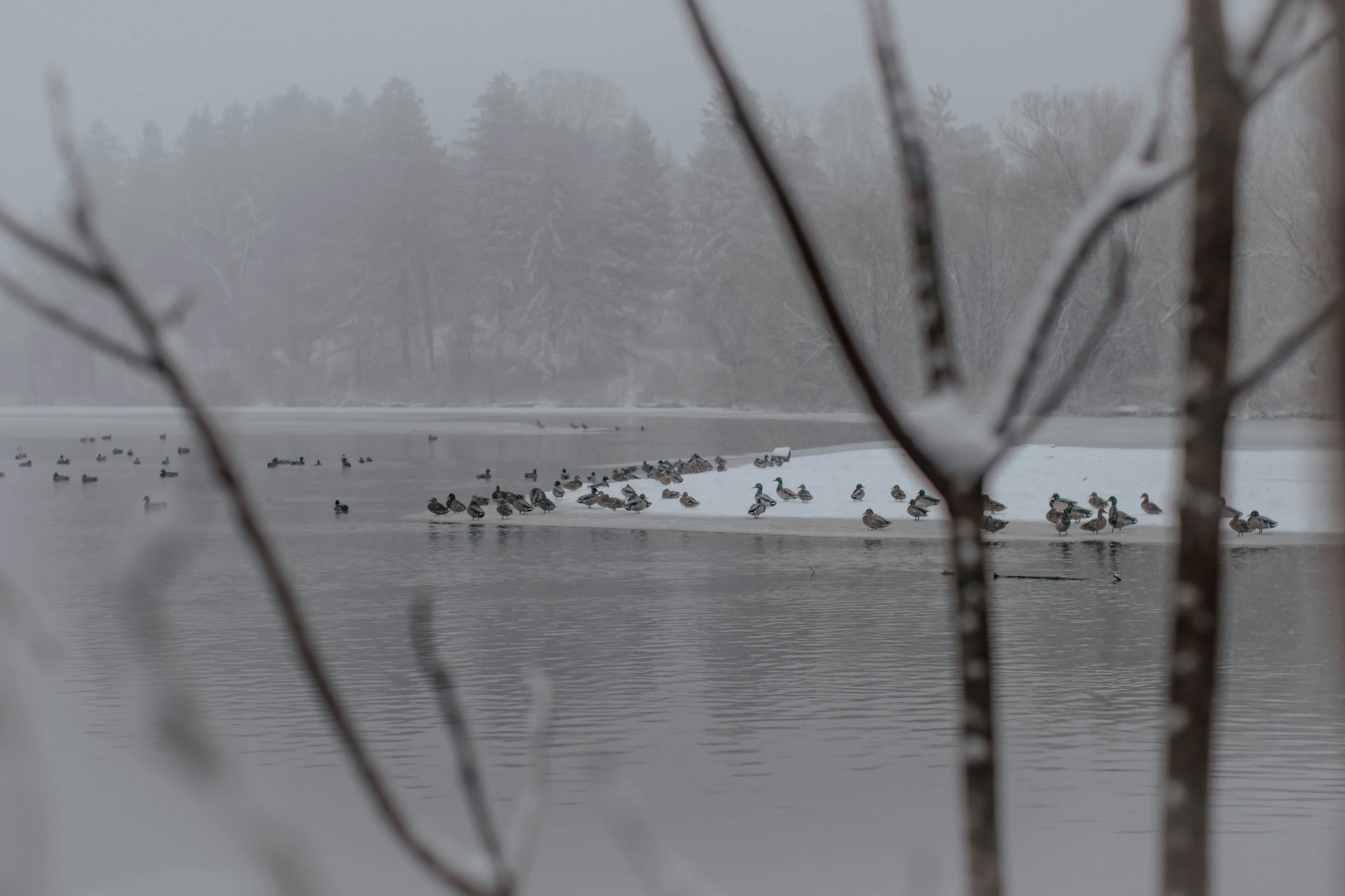 Photo by mariahhewines