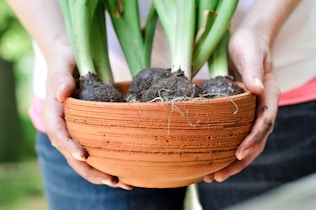 a person holding a potted plant with green onions in it