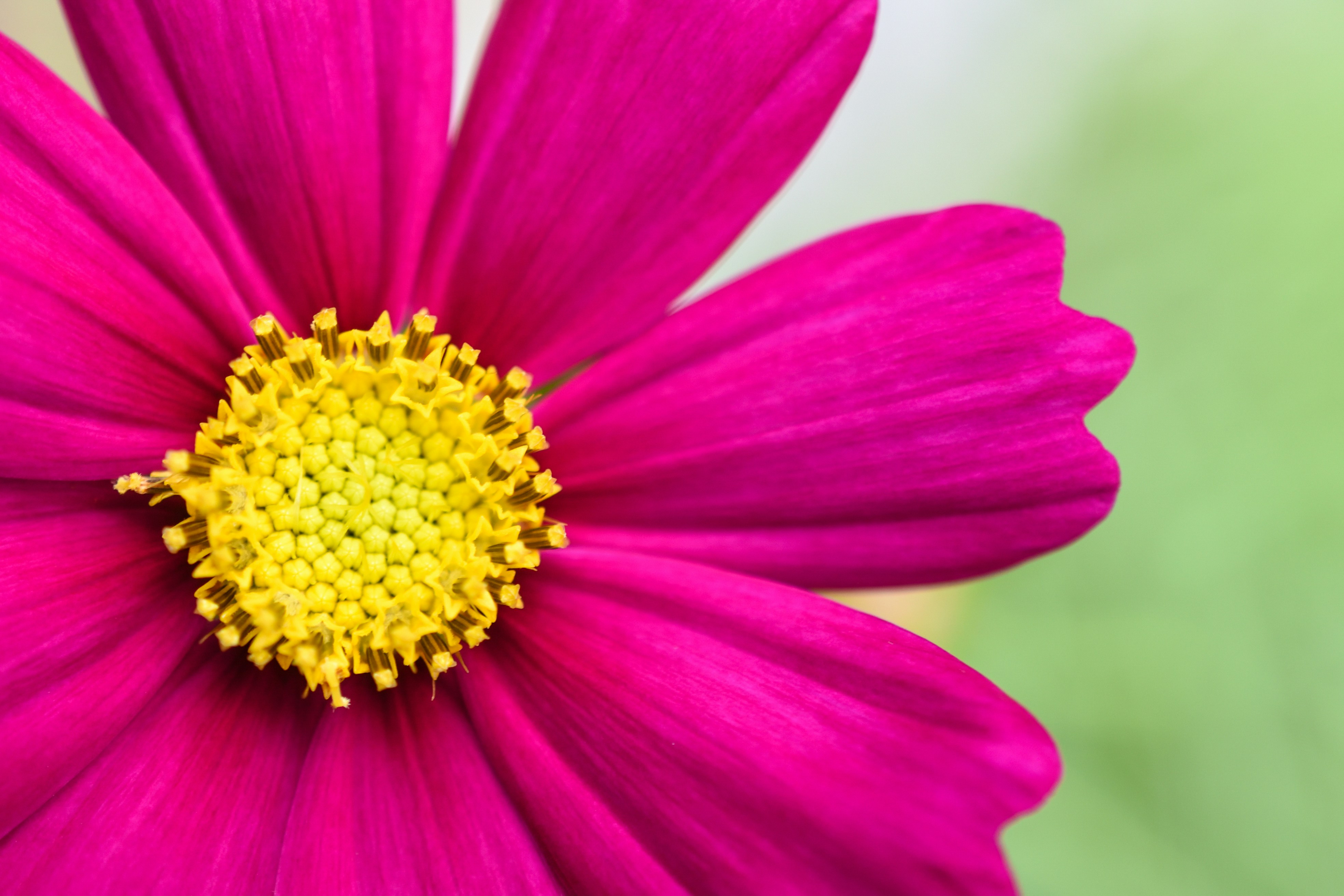 Photo by haleyparson