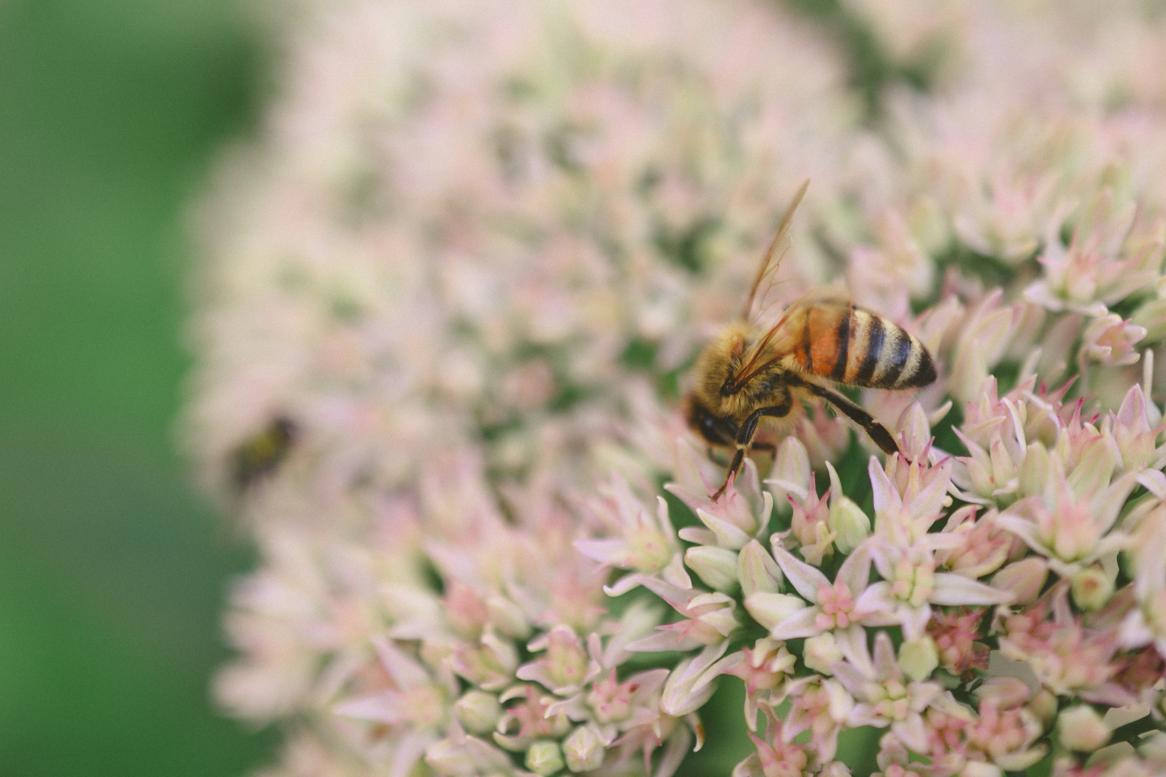 Photo by haleyparson