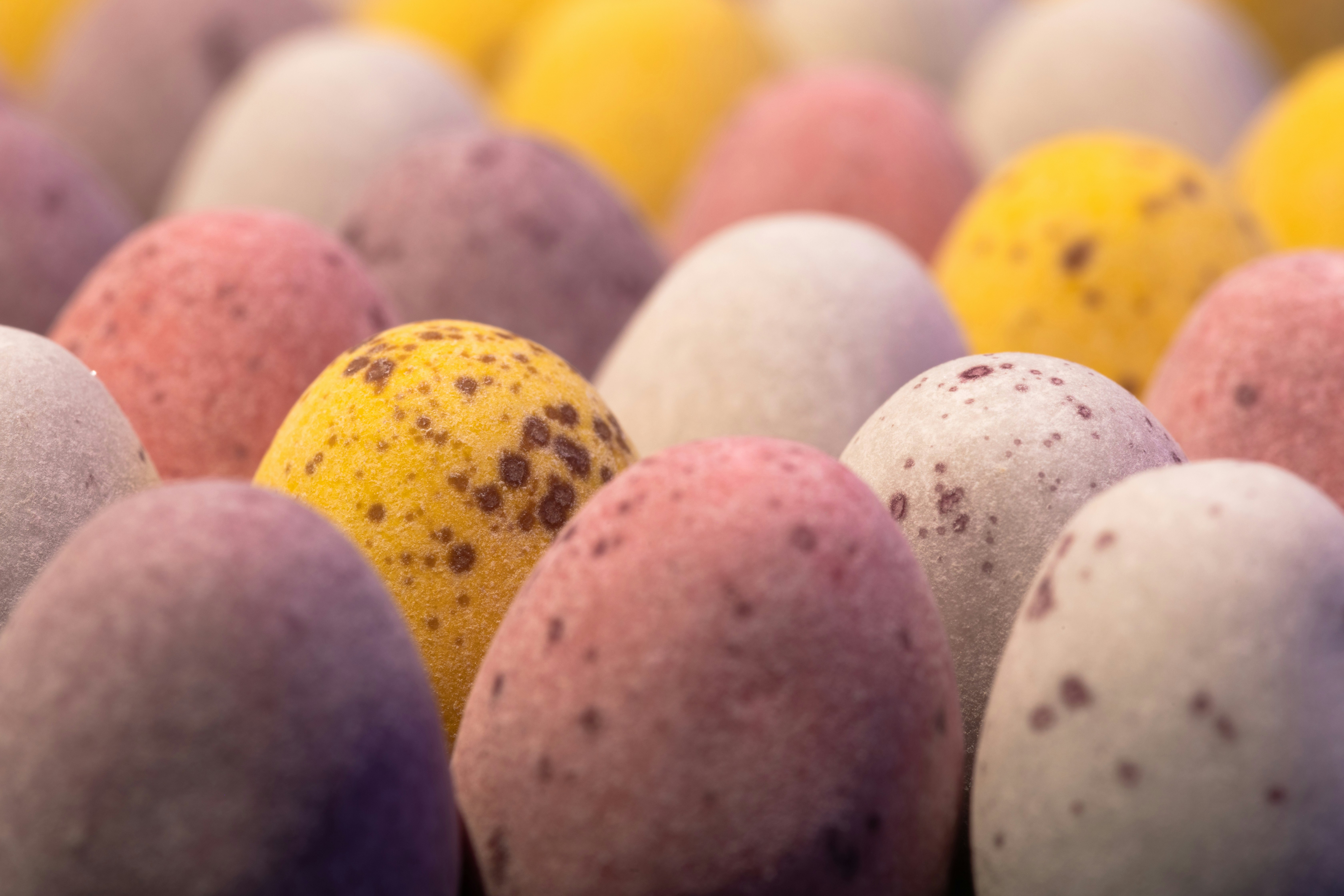 Image shows chocolate easter eggs.