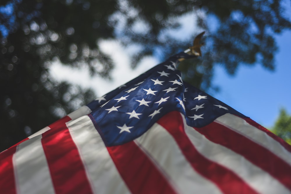 a close up of an american flag with trees in the background