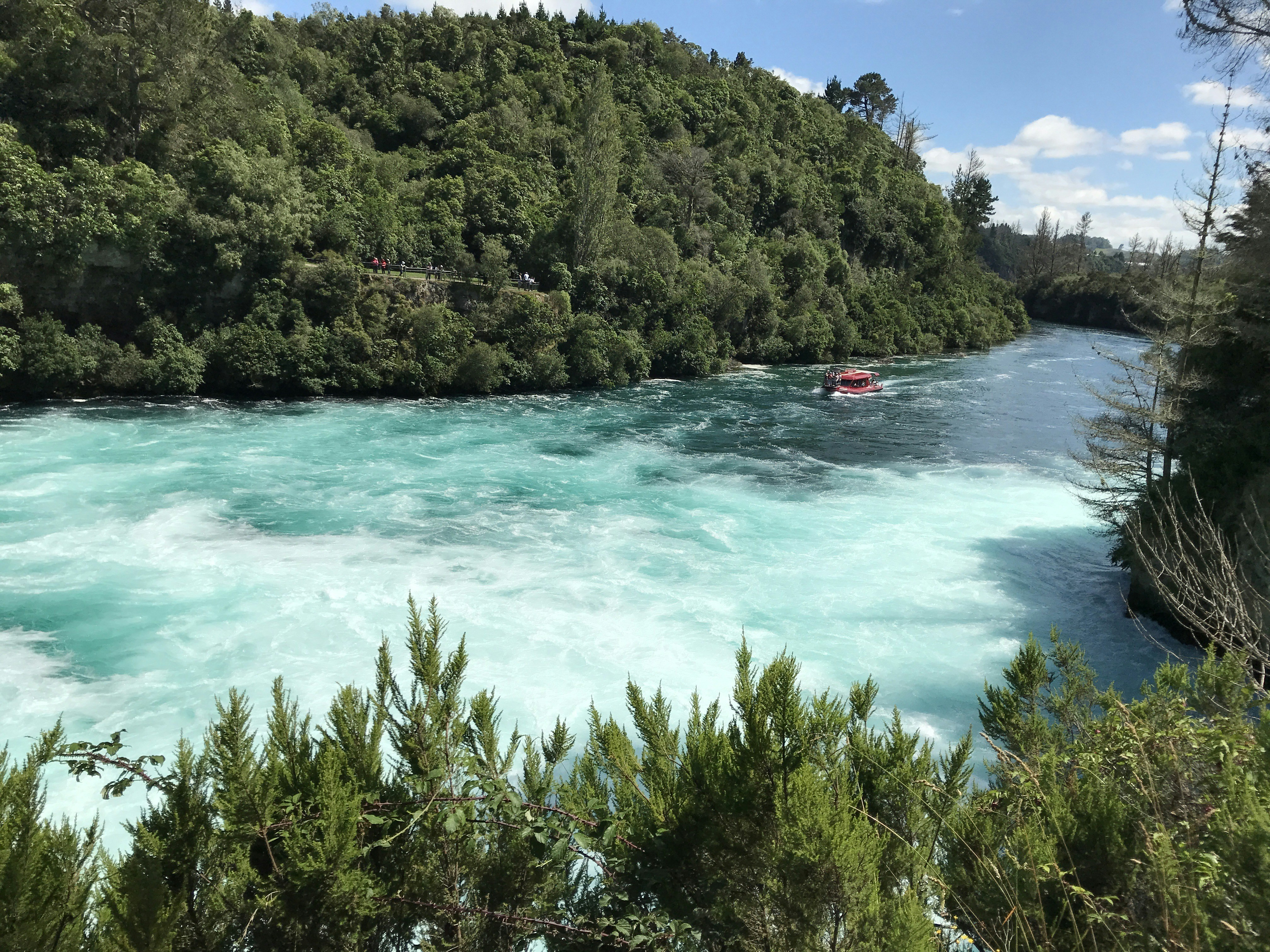 a boat traveling down a river next to a lush green forest