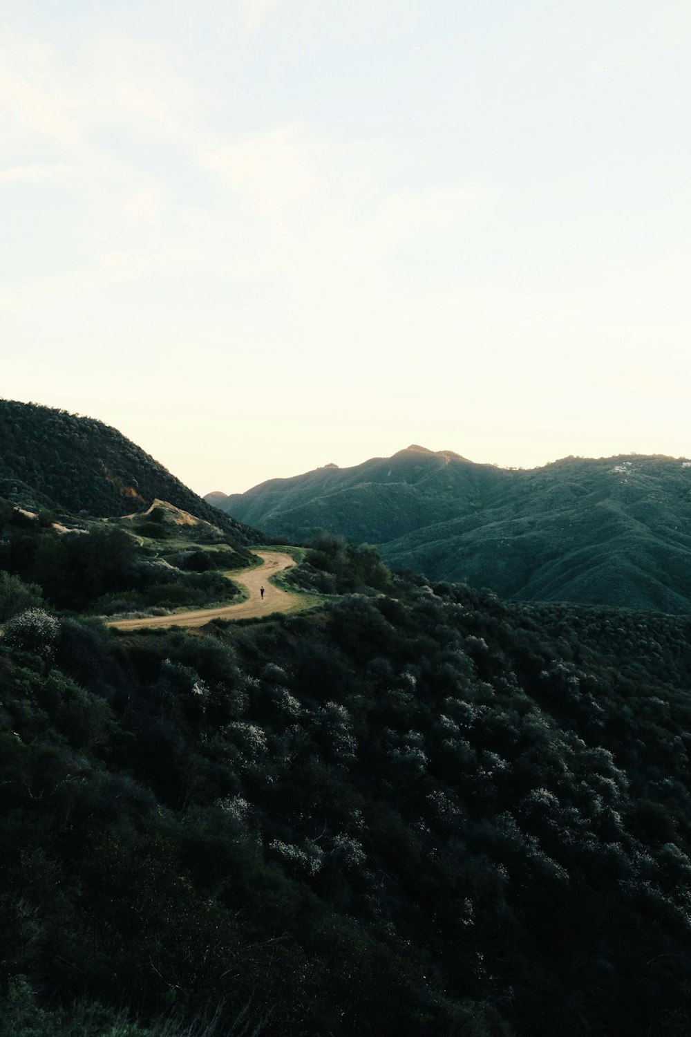 a dirt road winding through a lush green hillside