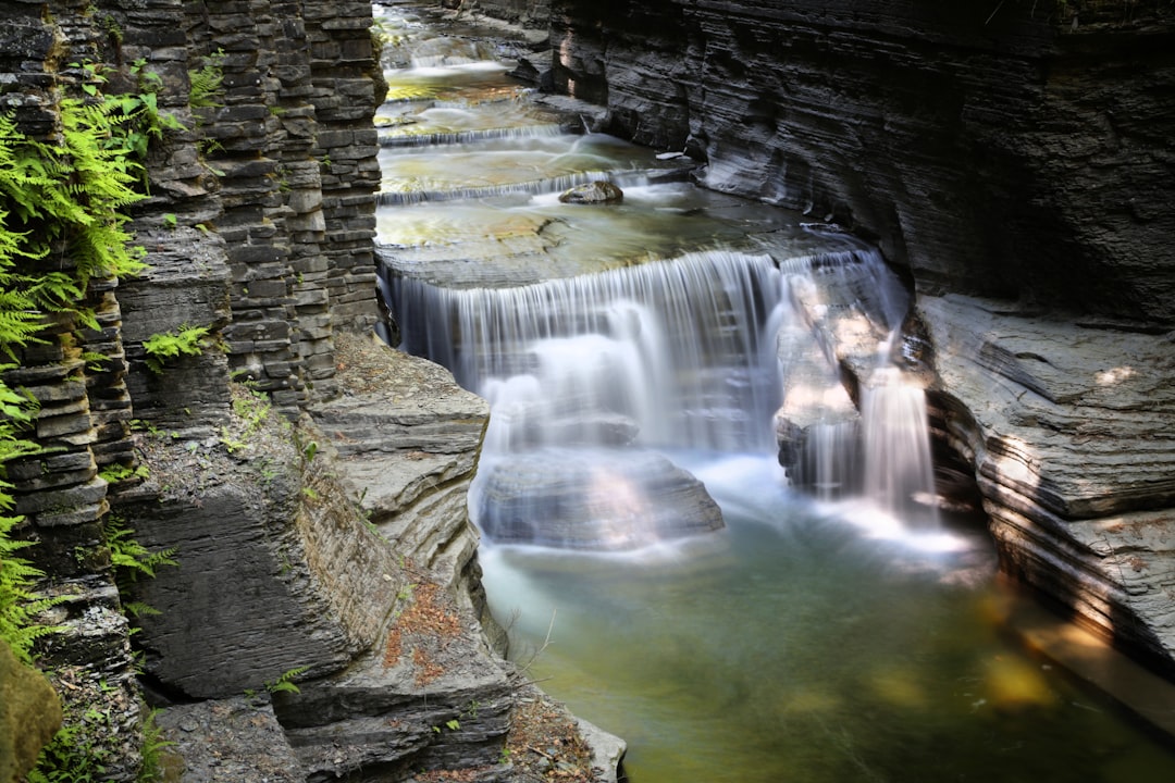 a small waterfall in the middle of a forest, The