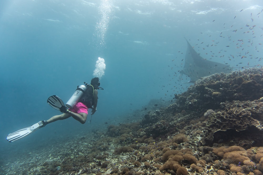 Eine Frau scubas mit einem großen Hai im Ozean