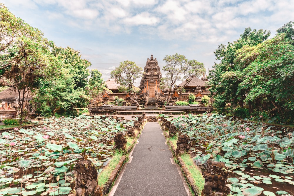 a walkway leading to a temple surrounded by water lilies