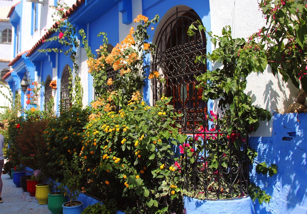 a blue building with a bunch of flowers growing on it