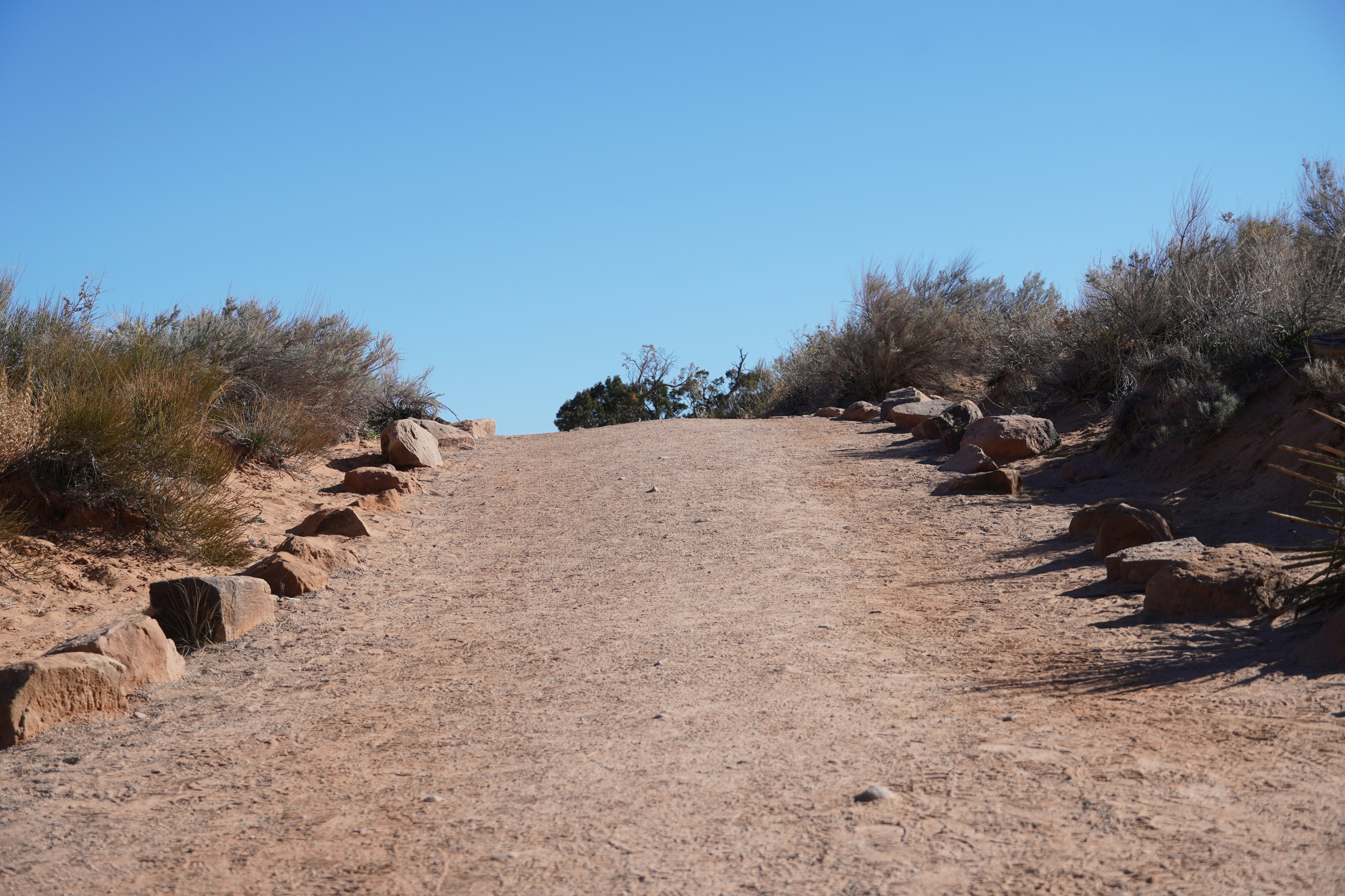 Photo by calecrunchy