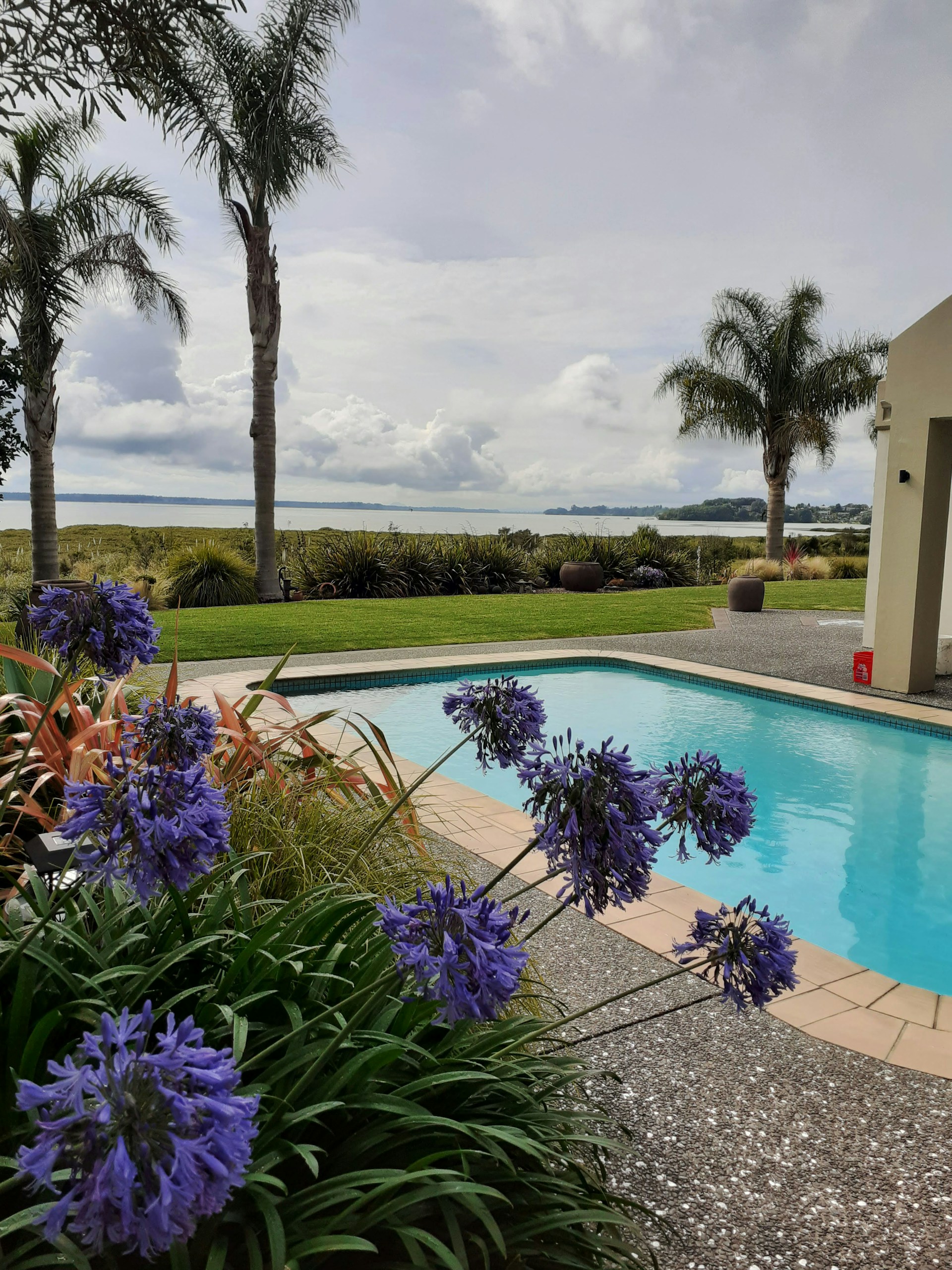 A serene scene featuring a purple gradient sky, a lone palm tree, and a sparkling swimming pool nestled far in the background.