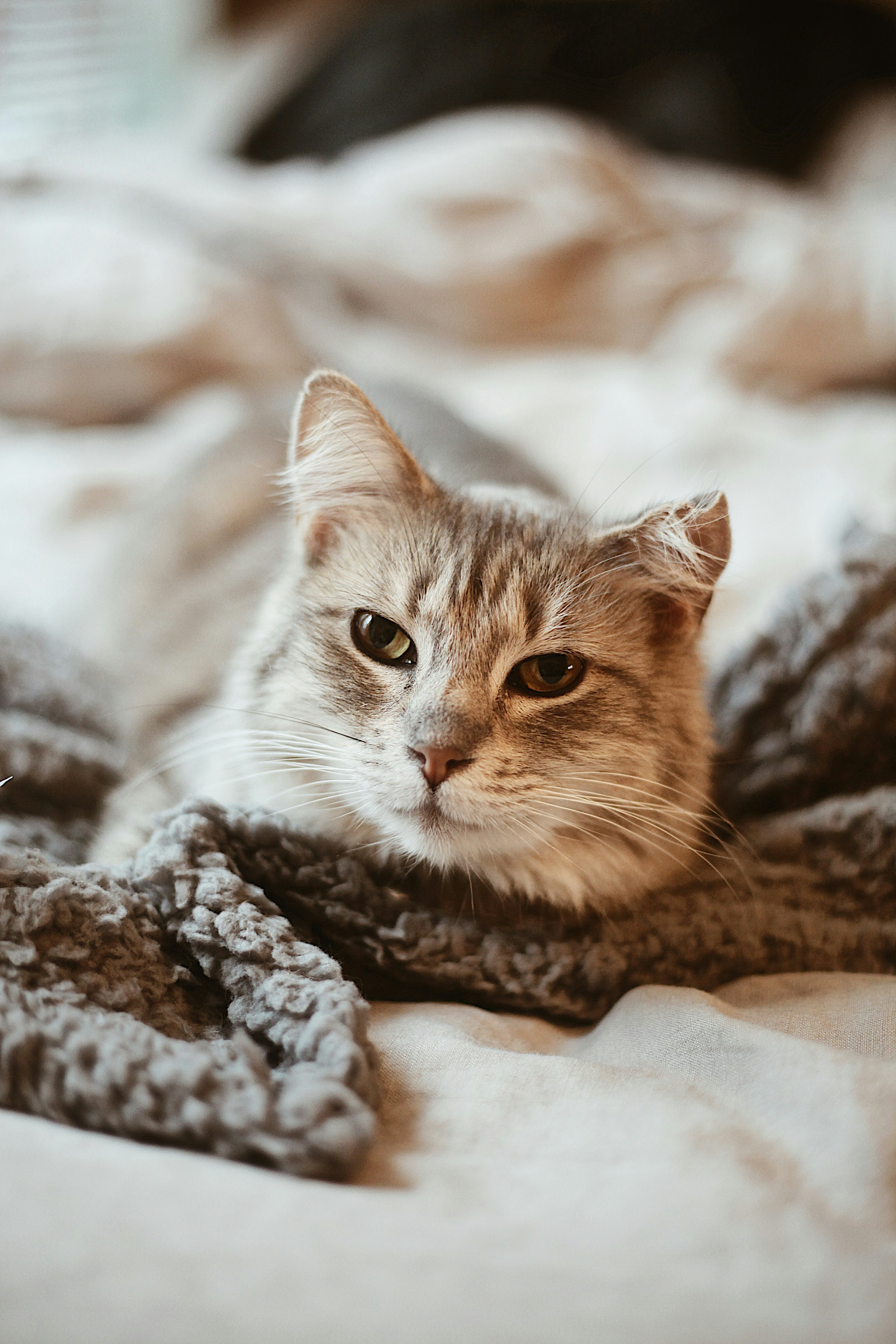 Photo by earthtokarly