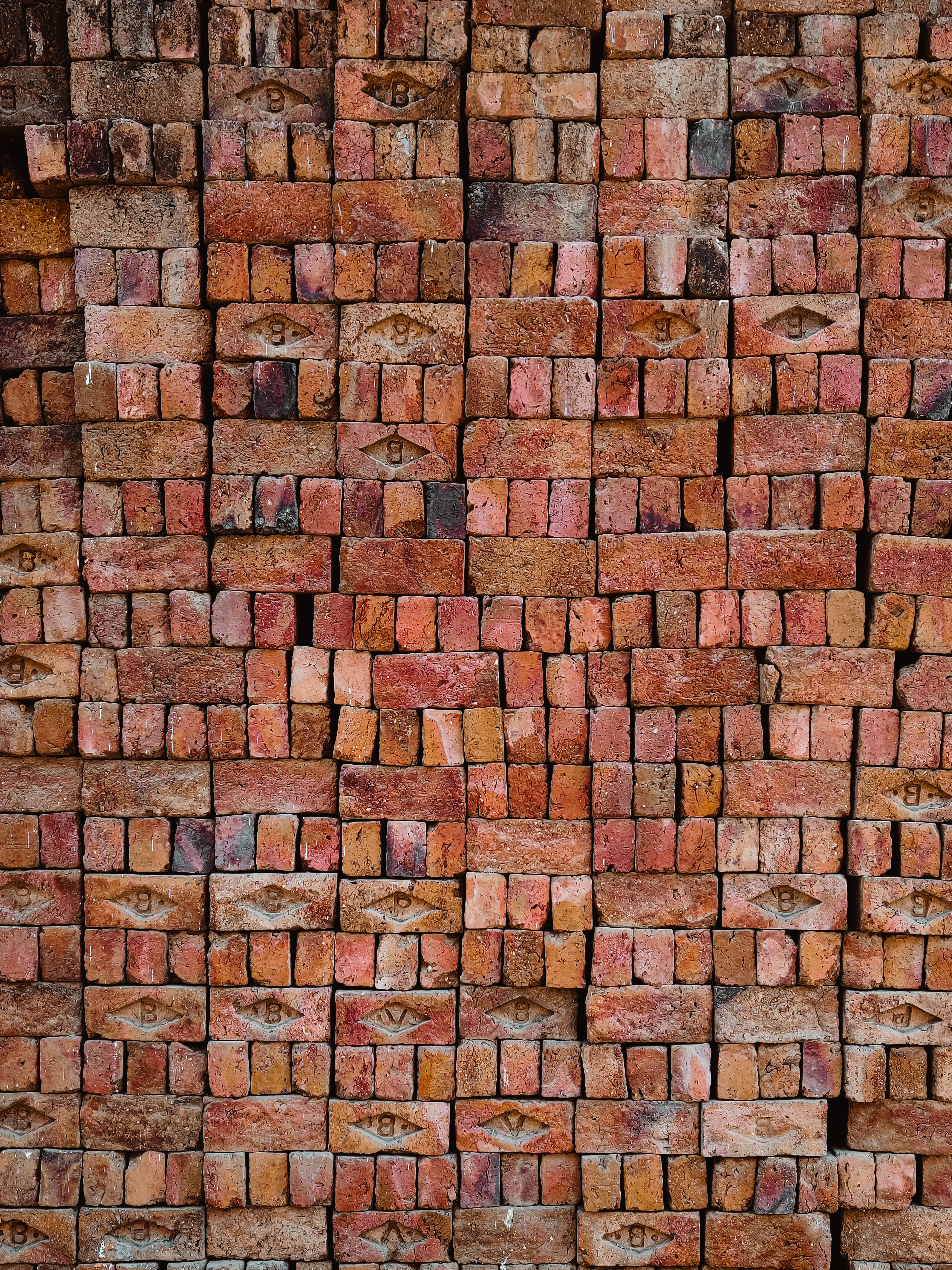 Photo by medicoinfocus