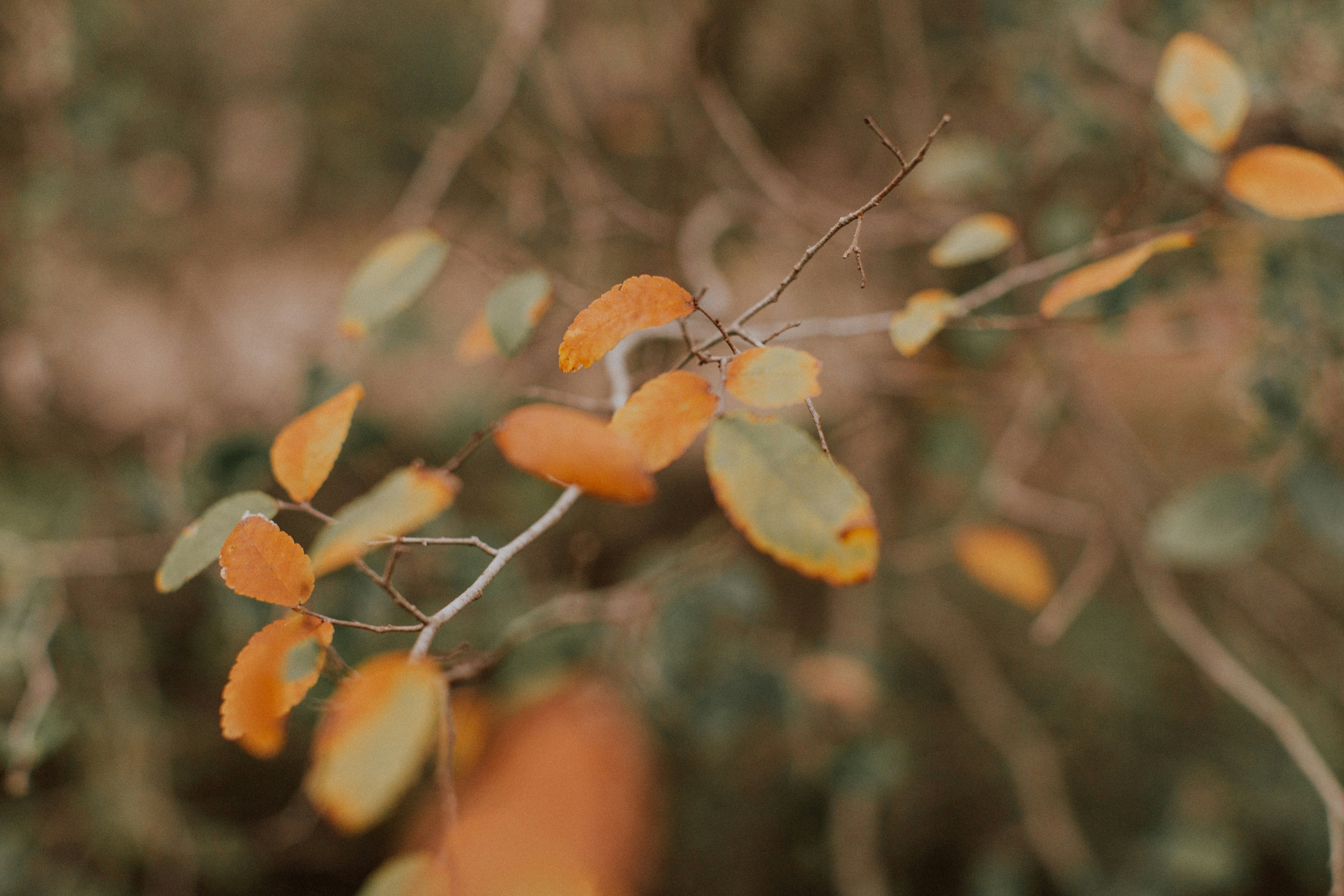 Photo by benignohoyuela