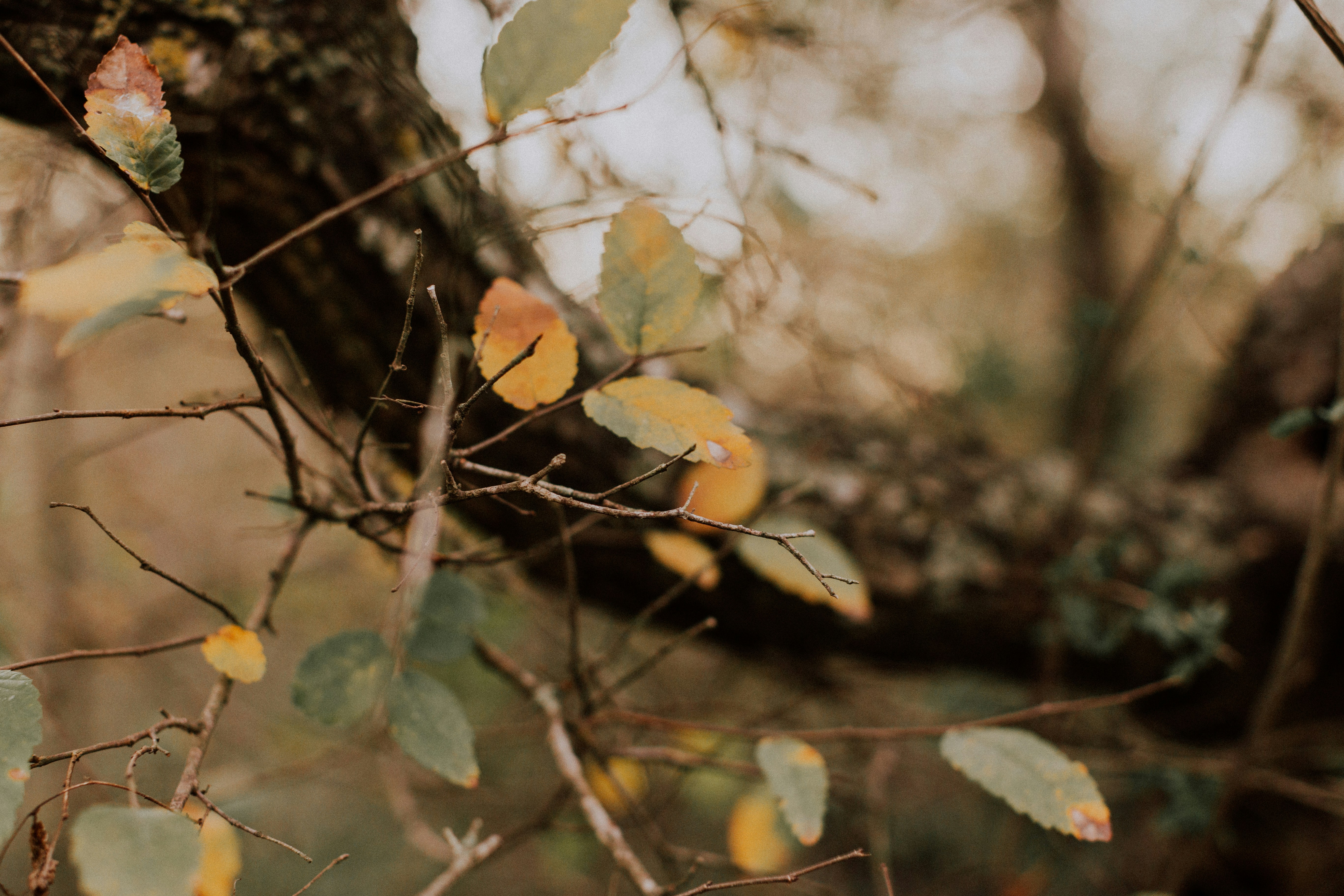 Photo by benignohoyuela