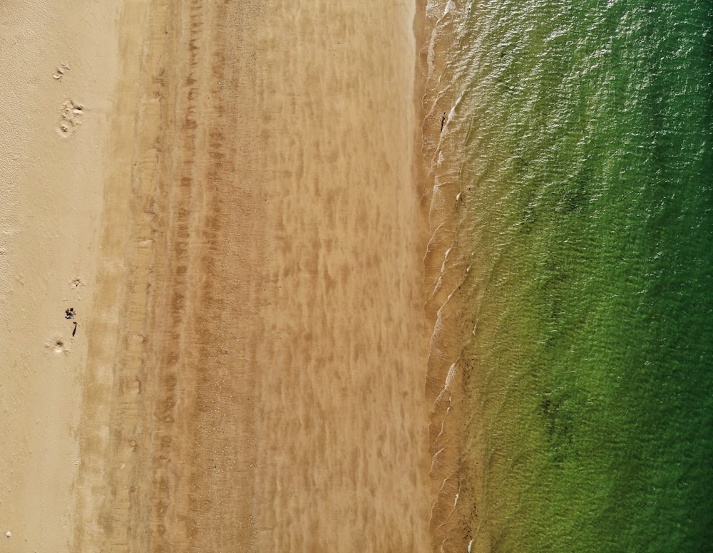 Luftaufnahme eines Sandstrandes mit grünem Wasser
