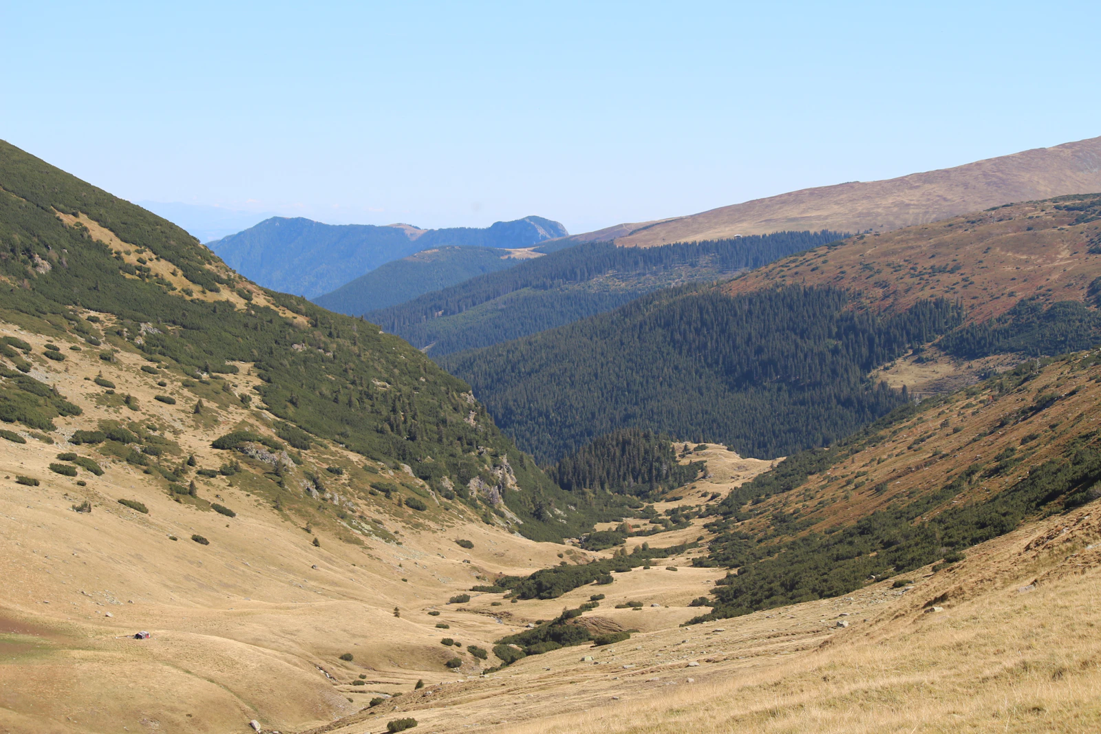 Cazare în Voineasa: vale alpină cu jnepeni în munții de pe Transalpina