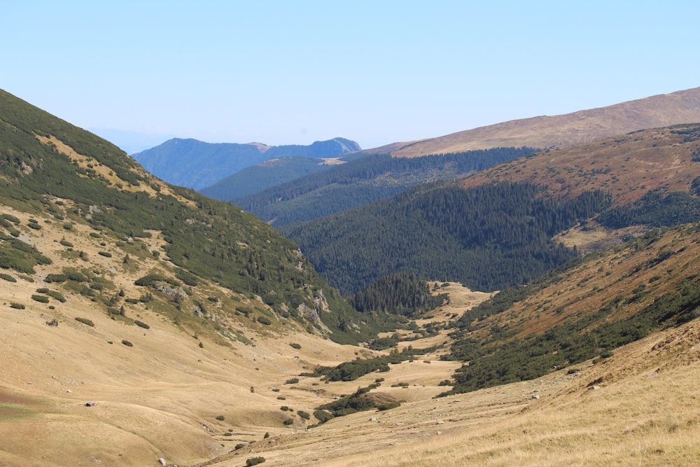 Una vista de un valle con montañas al fondo