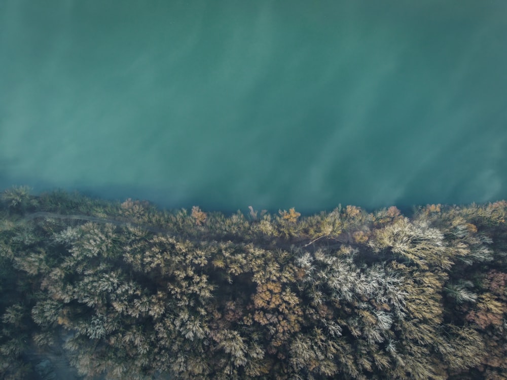 an aerial view of a lake surrounded by trees