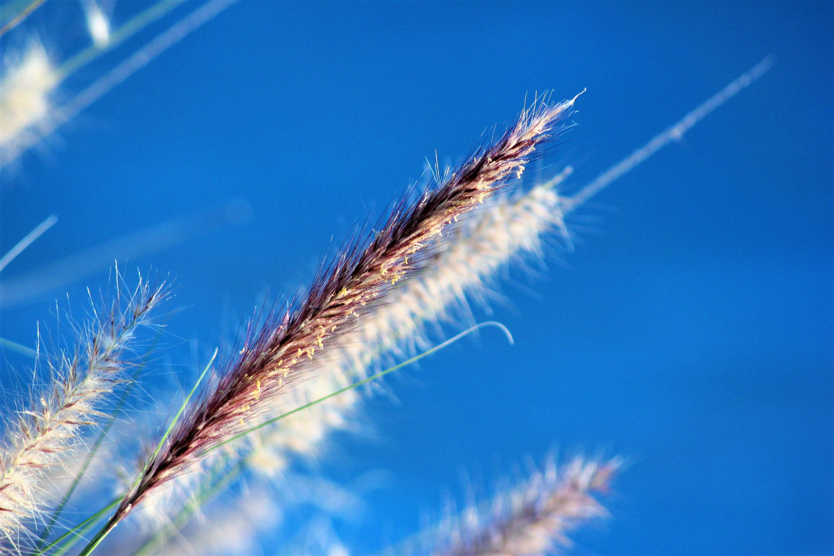 Photo by craigmanners_com