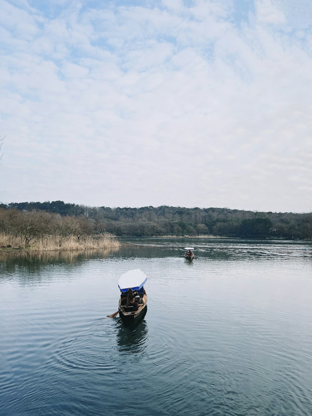 a boat floating on top of a lake next to a forest