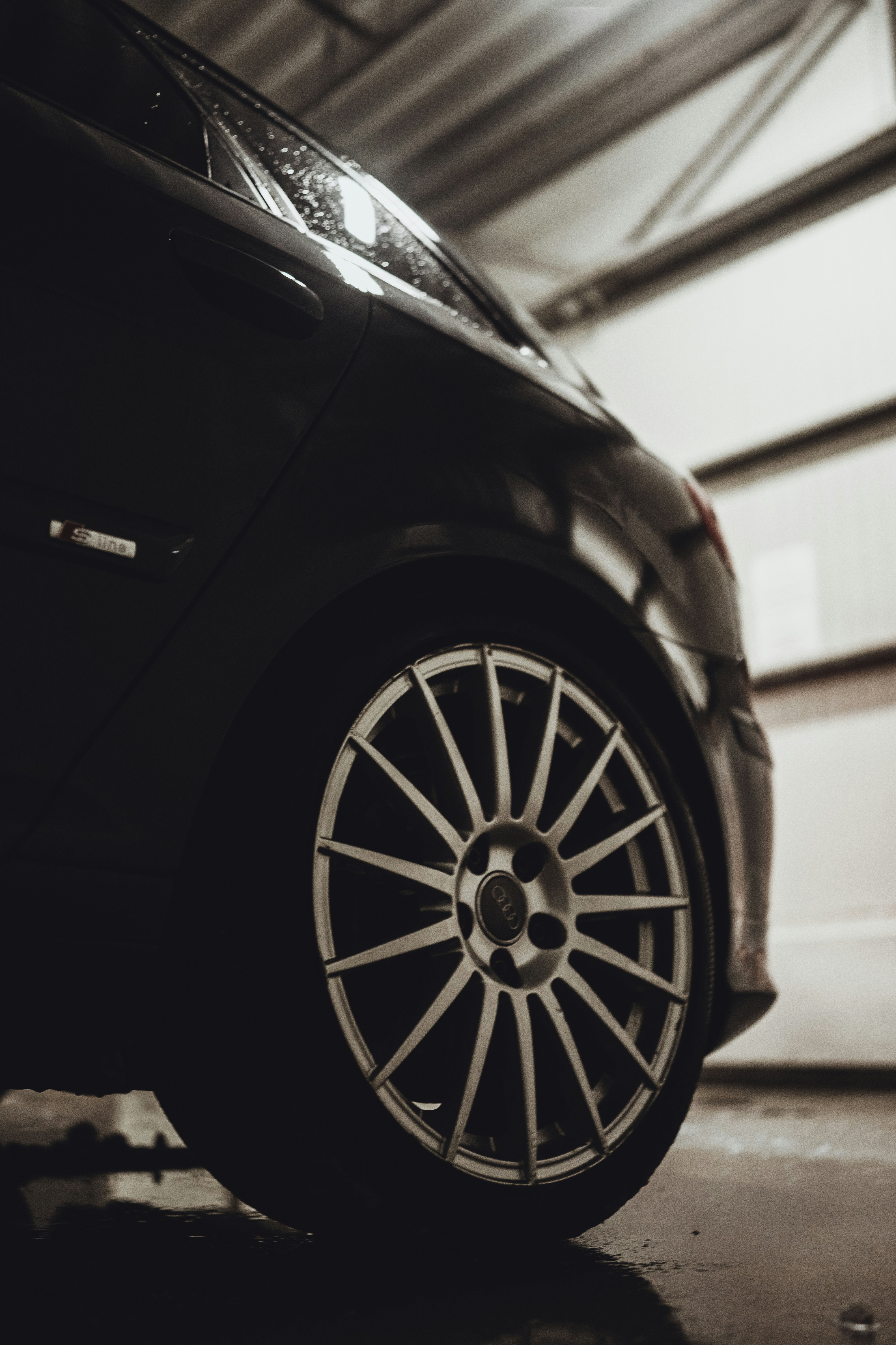 Photo by calinrazvanfotograf