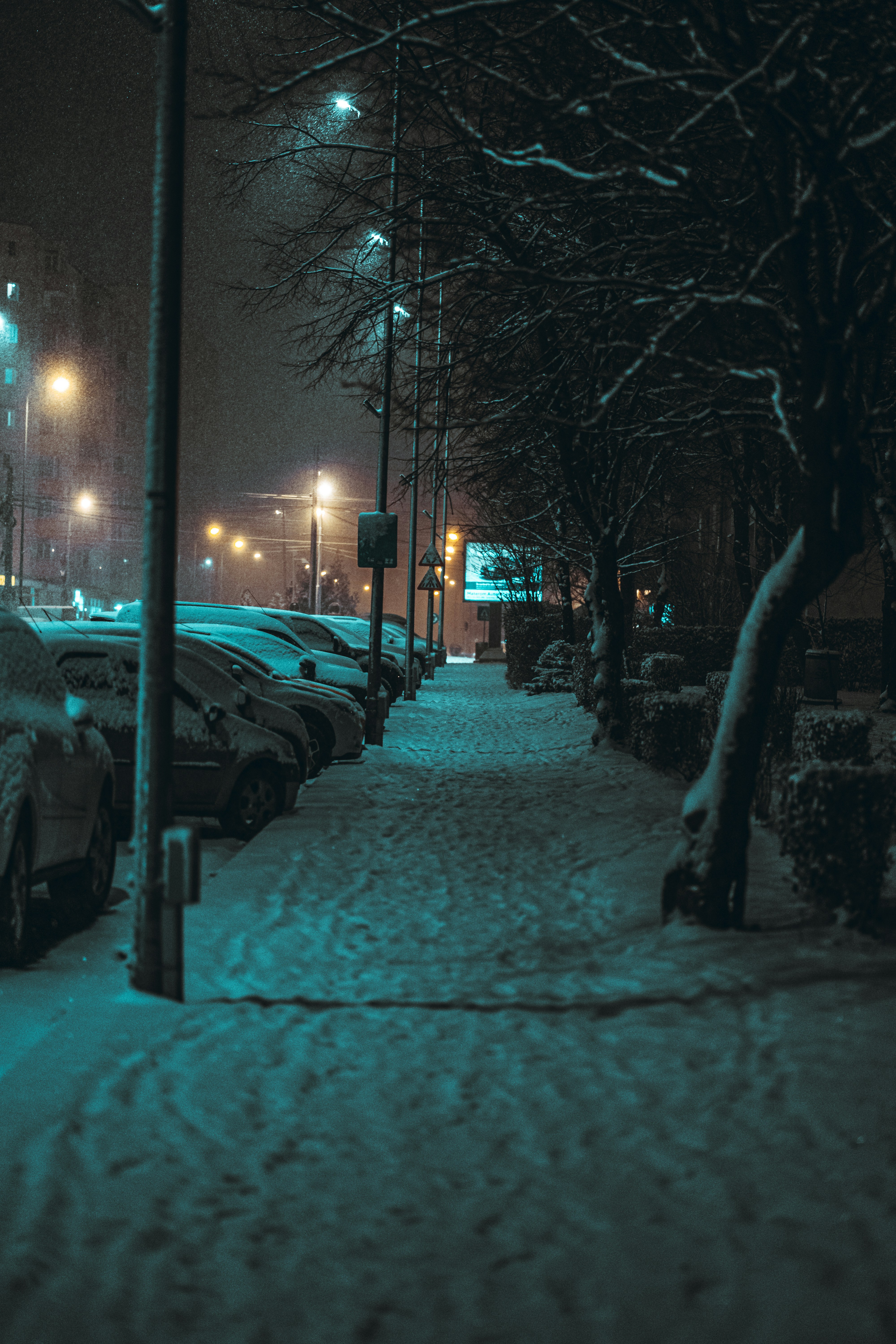 Photo by calinrazvanfotograf