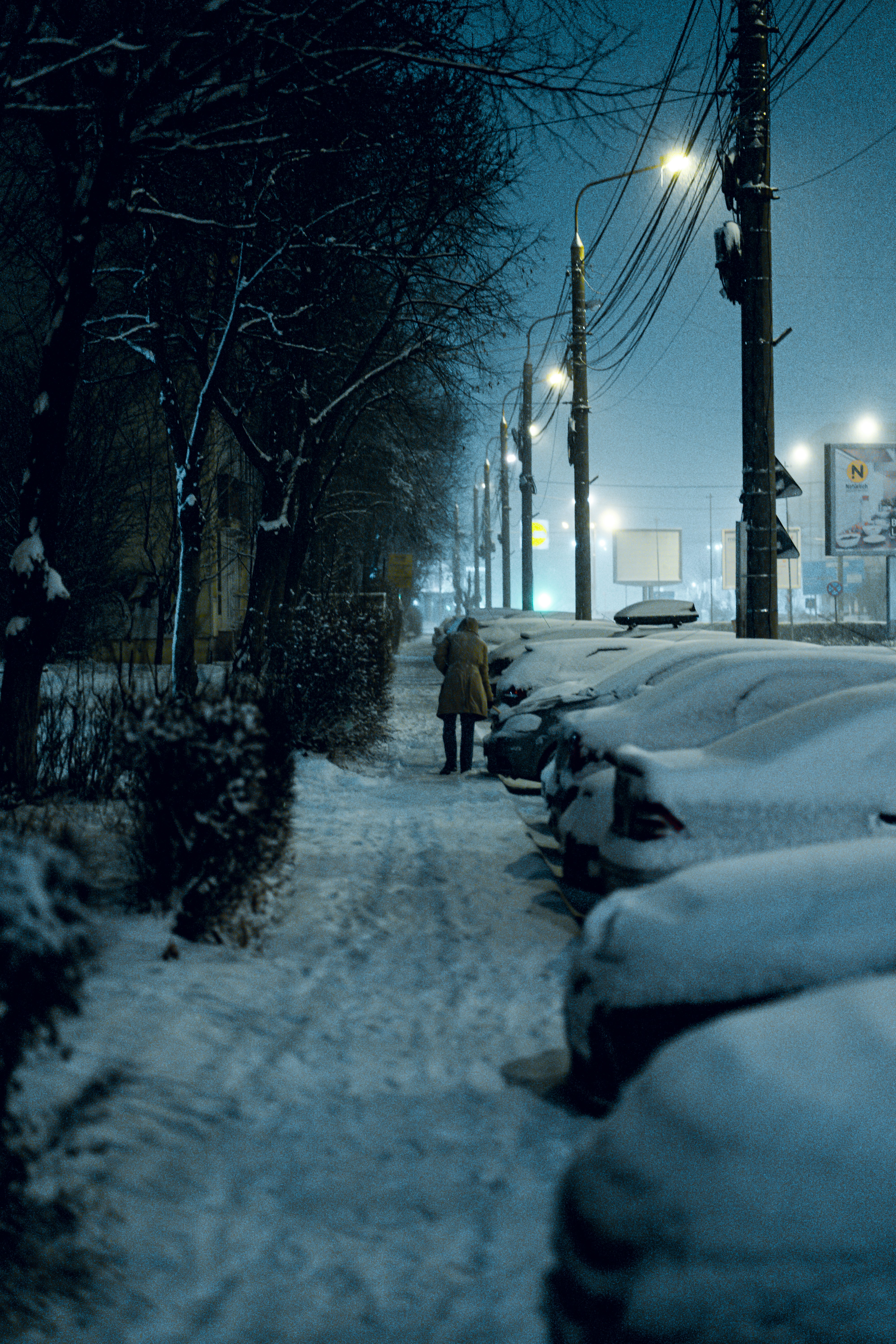 Photo by calinrazvanfotograf