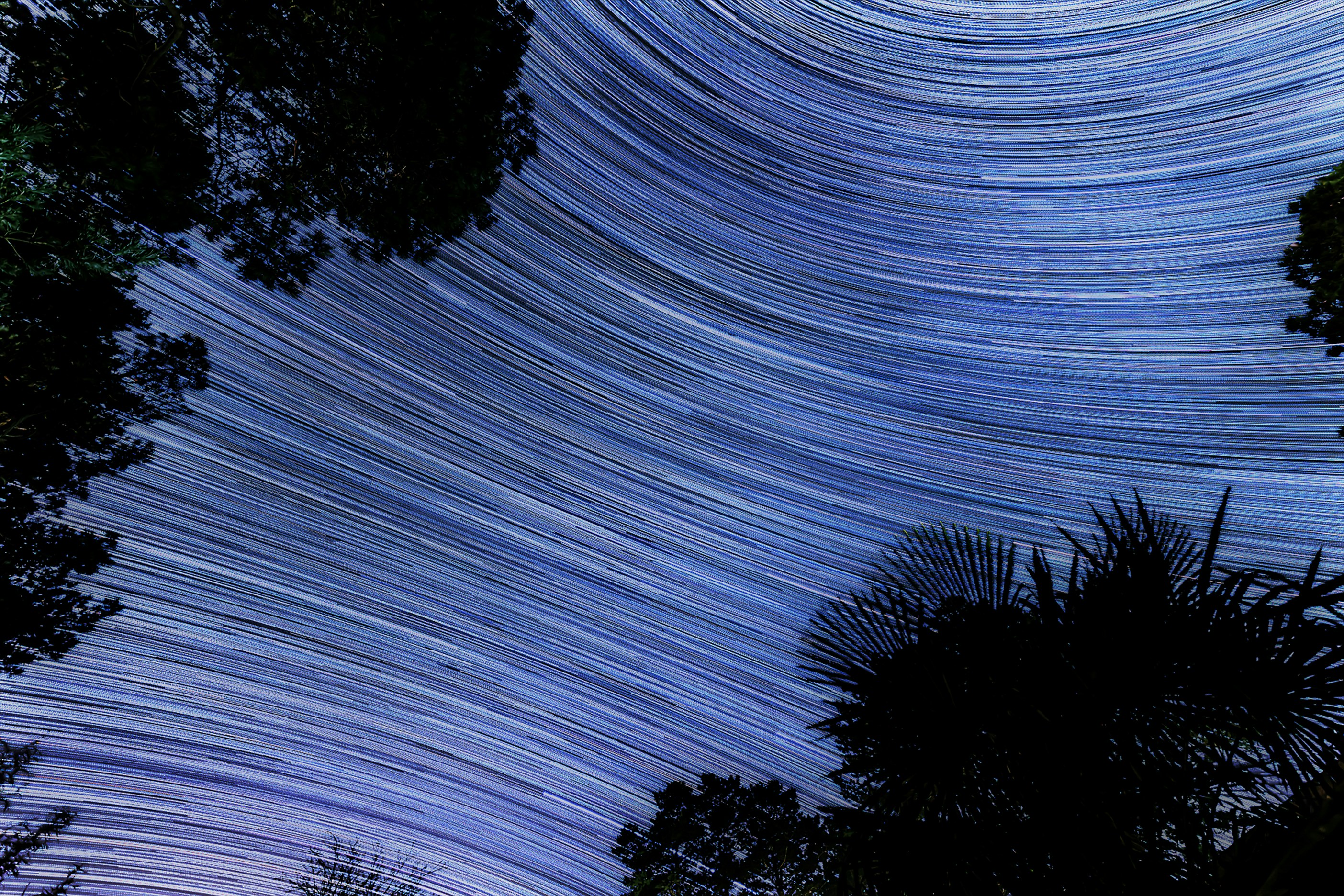 Photo by arizonanthony