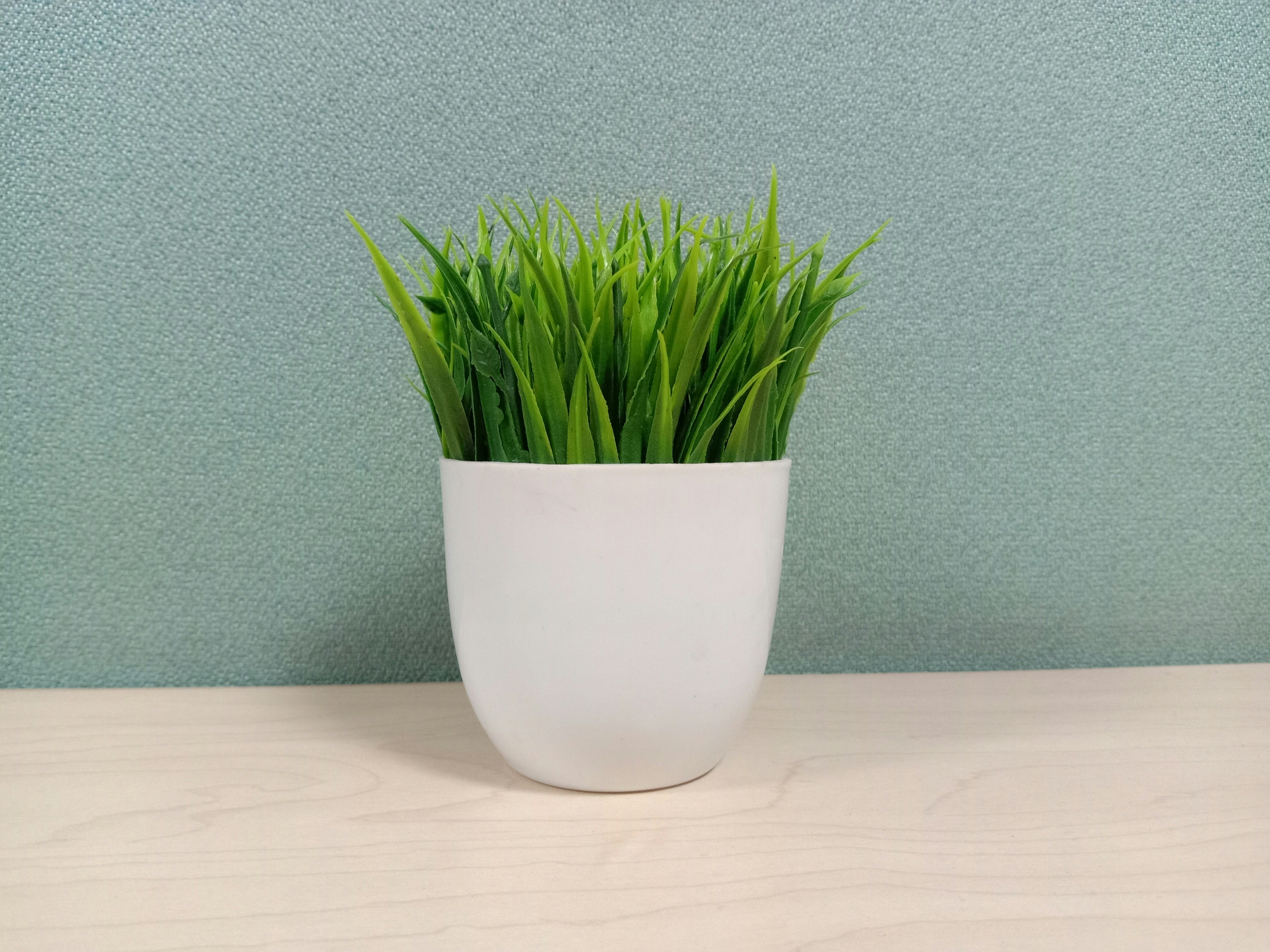 How to prevent candidate ghosting