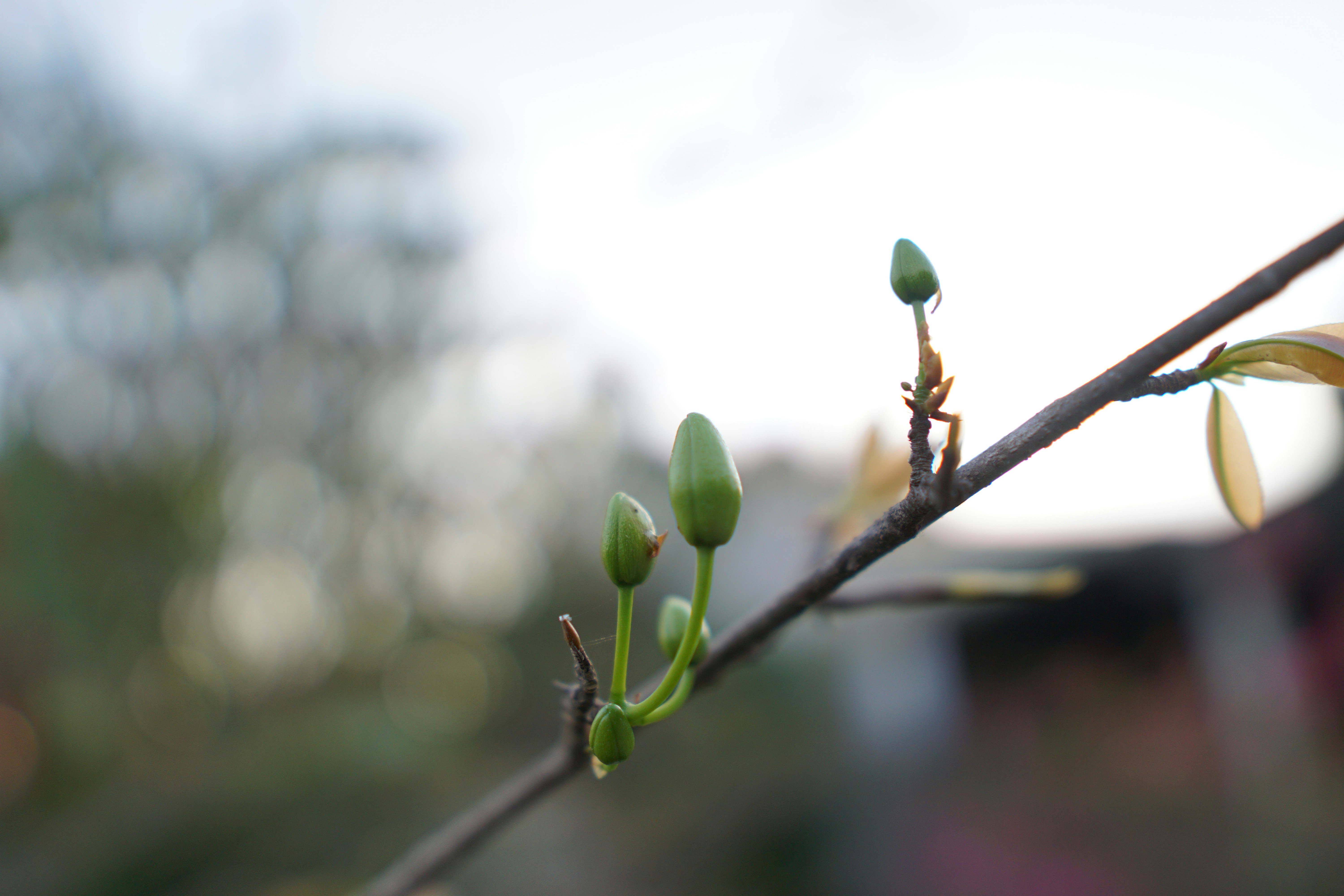 Photo by nntruong0801