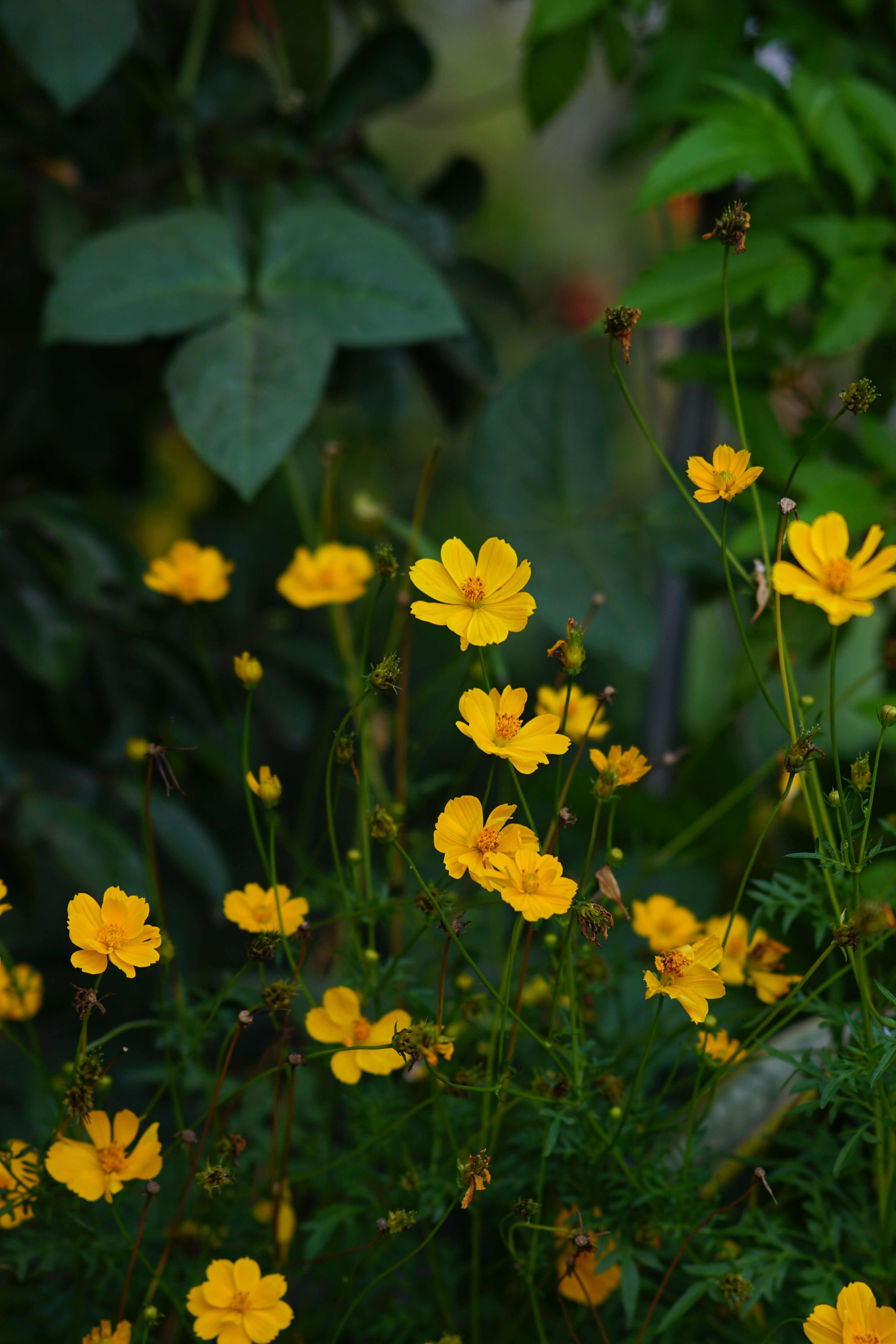 Photo by nntruong0801