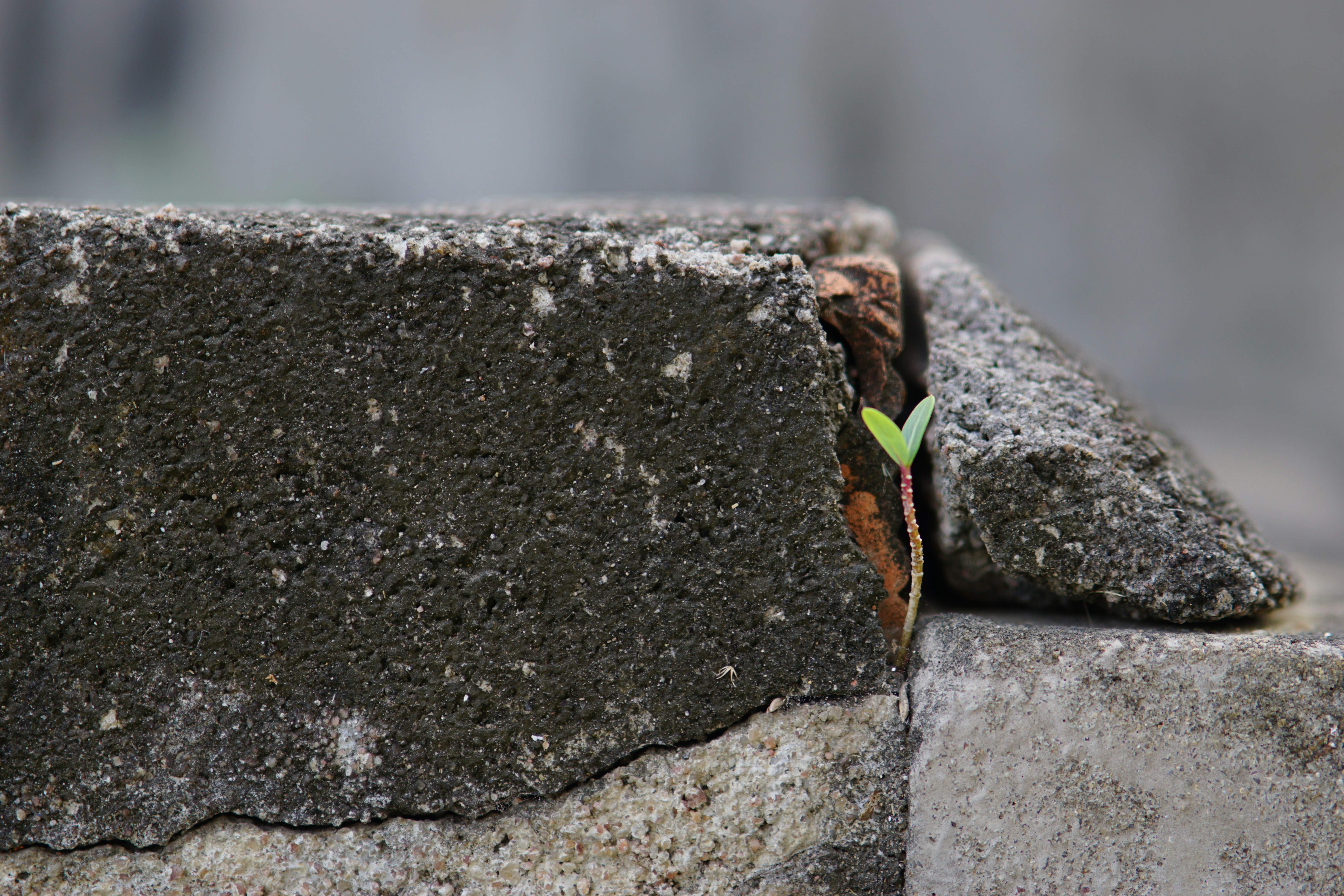Hayatın zorluklarını temsil eden engelleri birer basamak olarak kullanıp yukarı doğru tırmanan, azimli ve güçlü bir insan figürü.