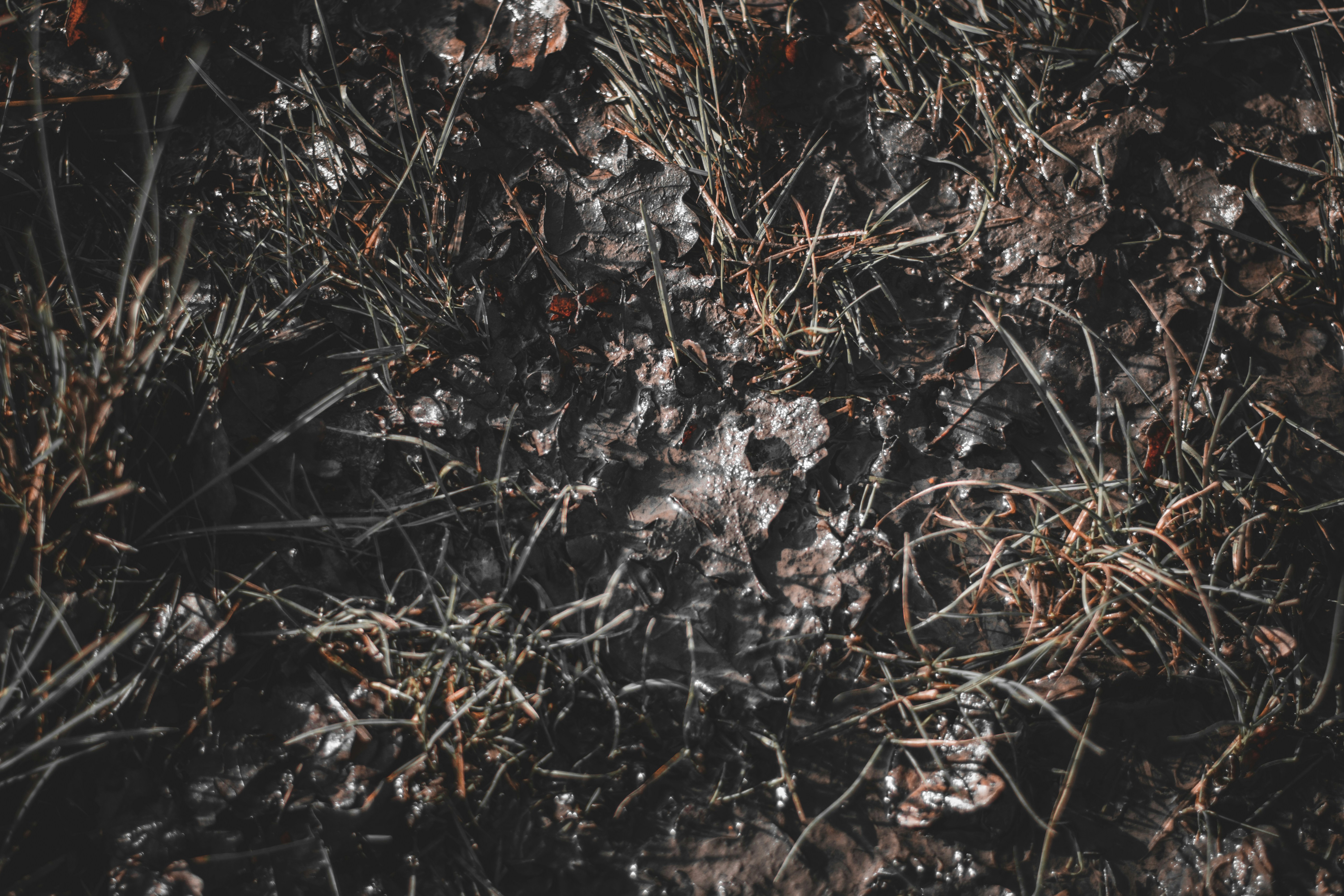 Photo by elliottmason