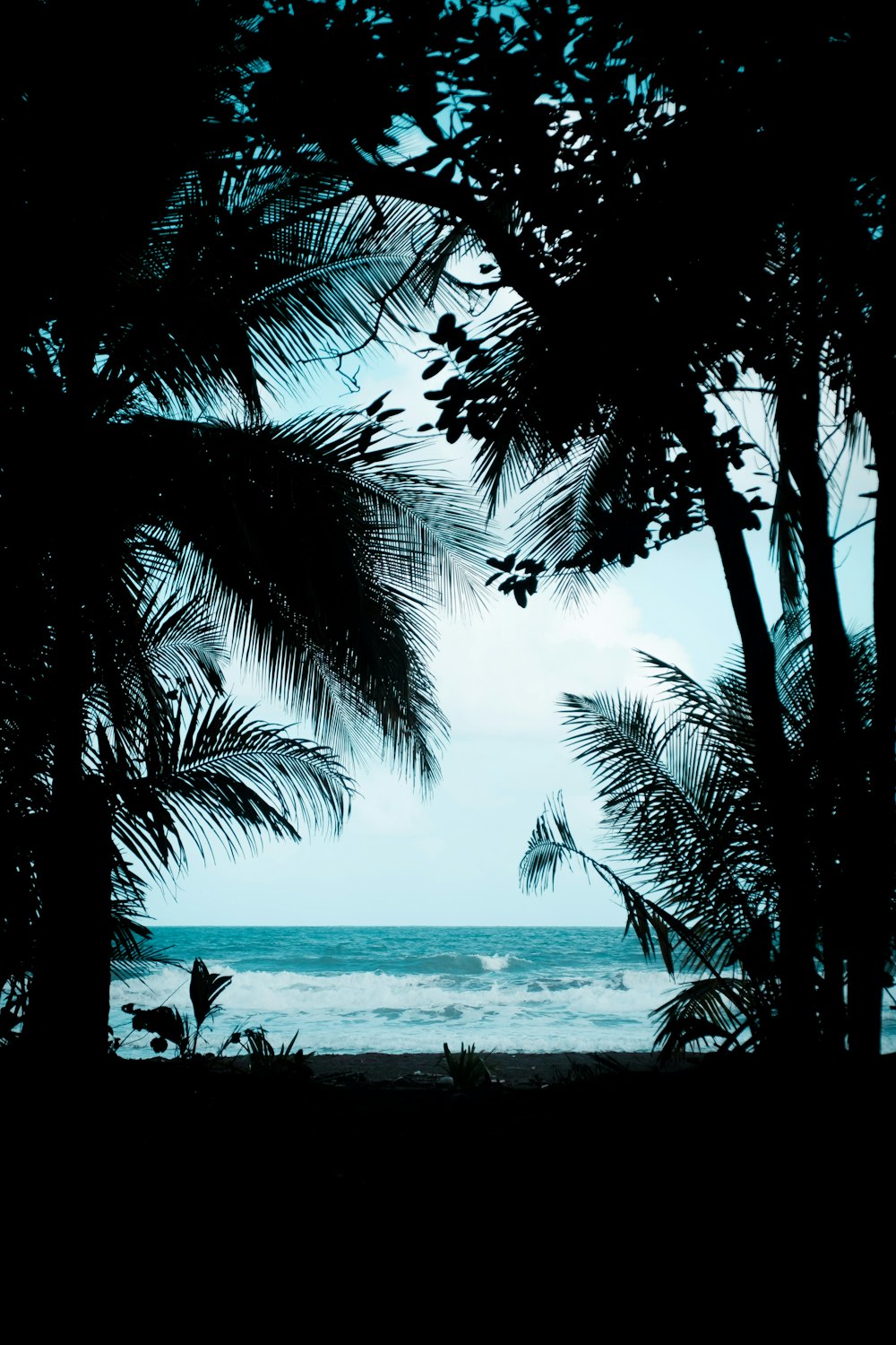 a view of the ocean through some trees