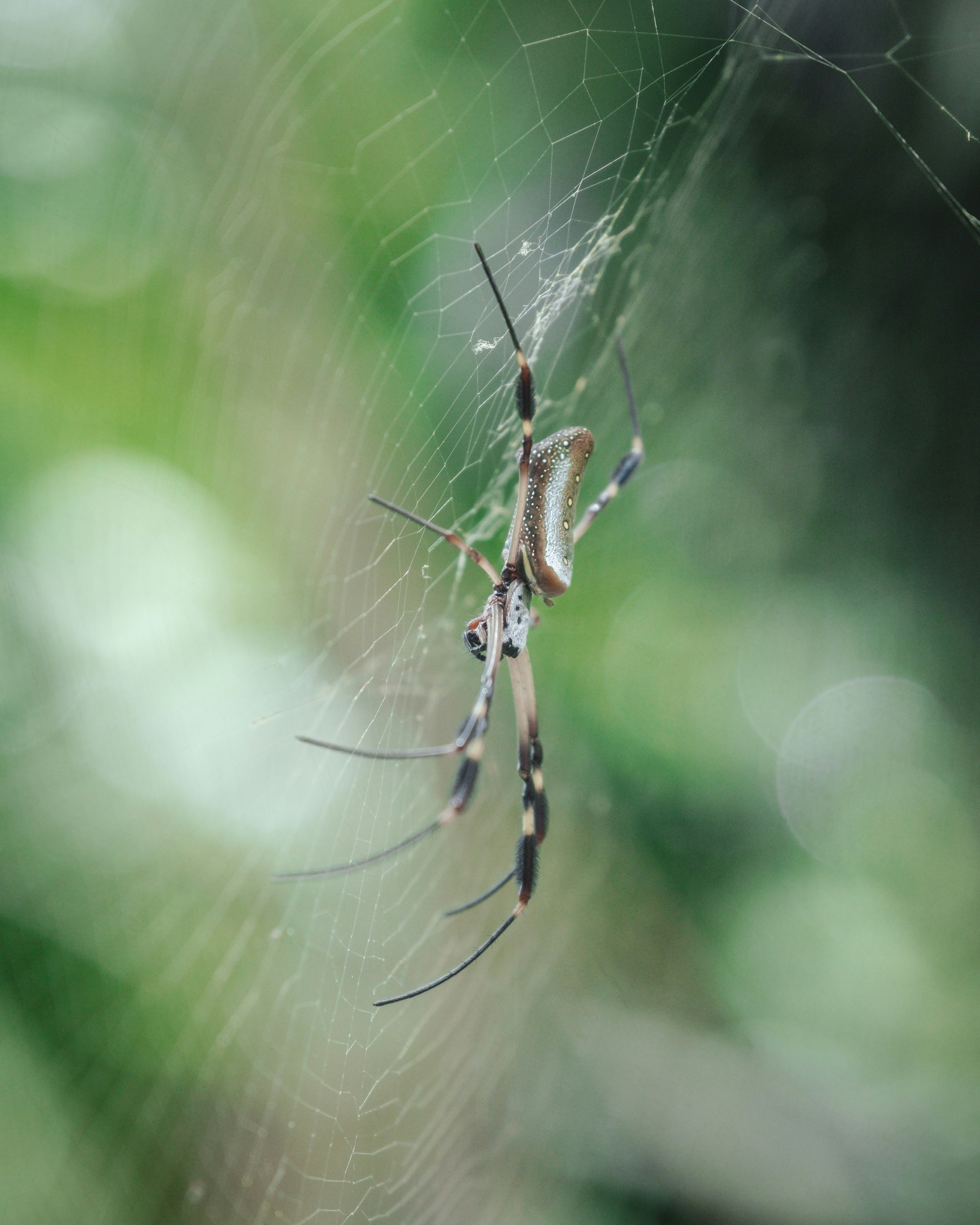 Photo by pixelatelier