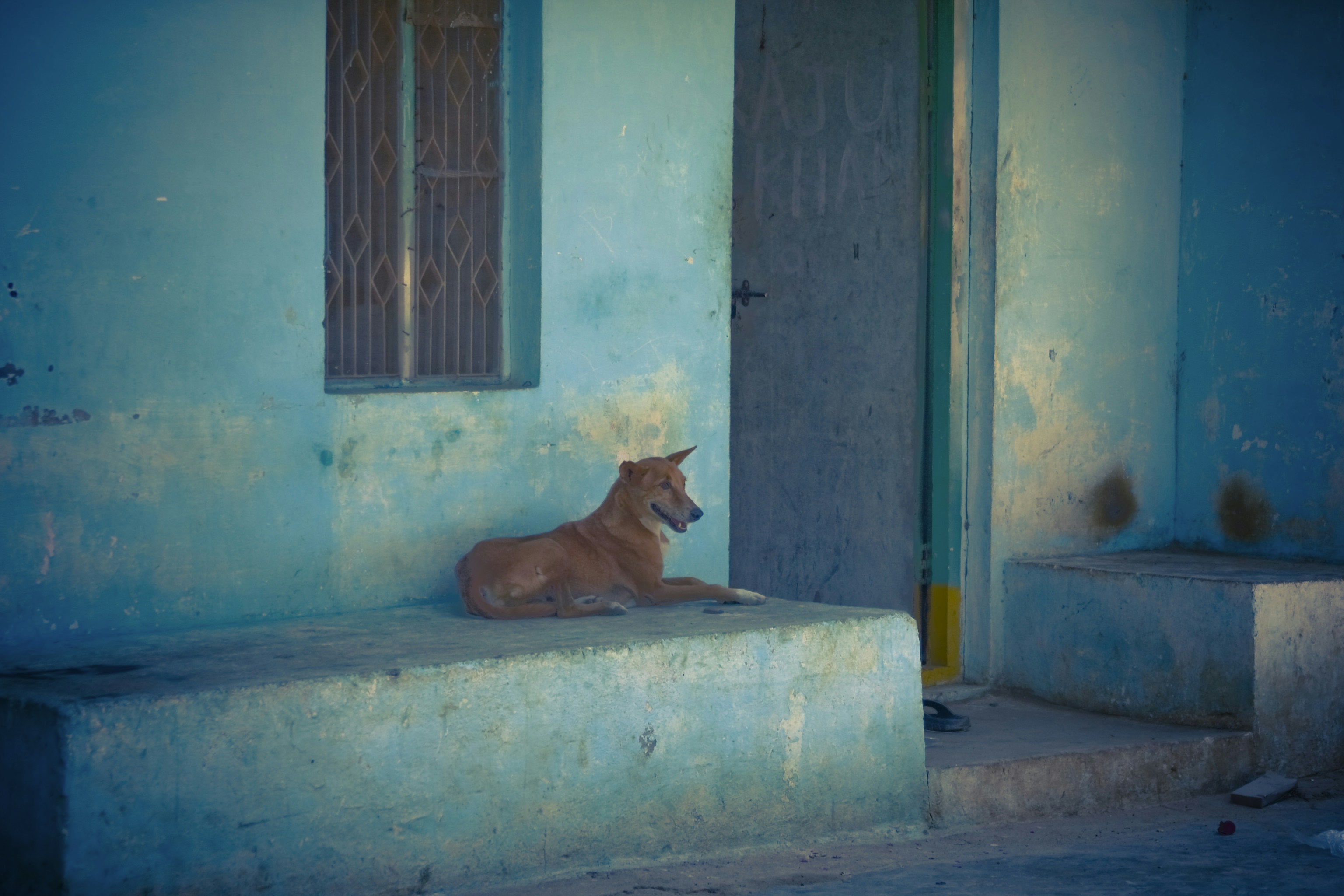 Photo by raimondklavins