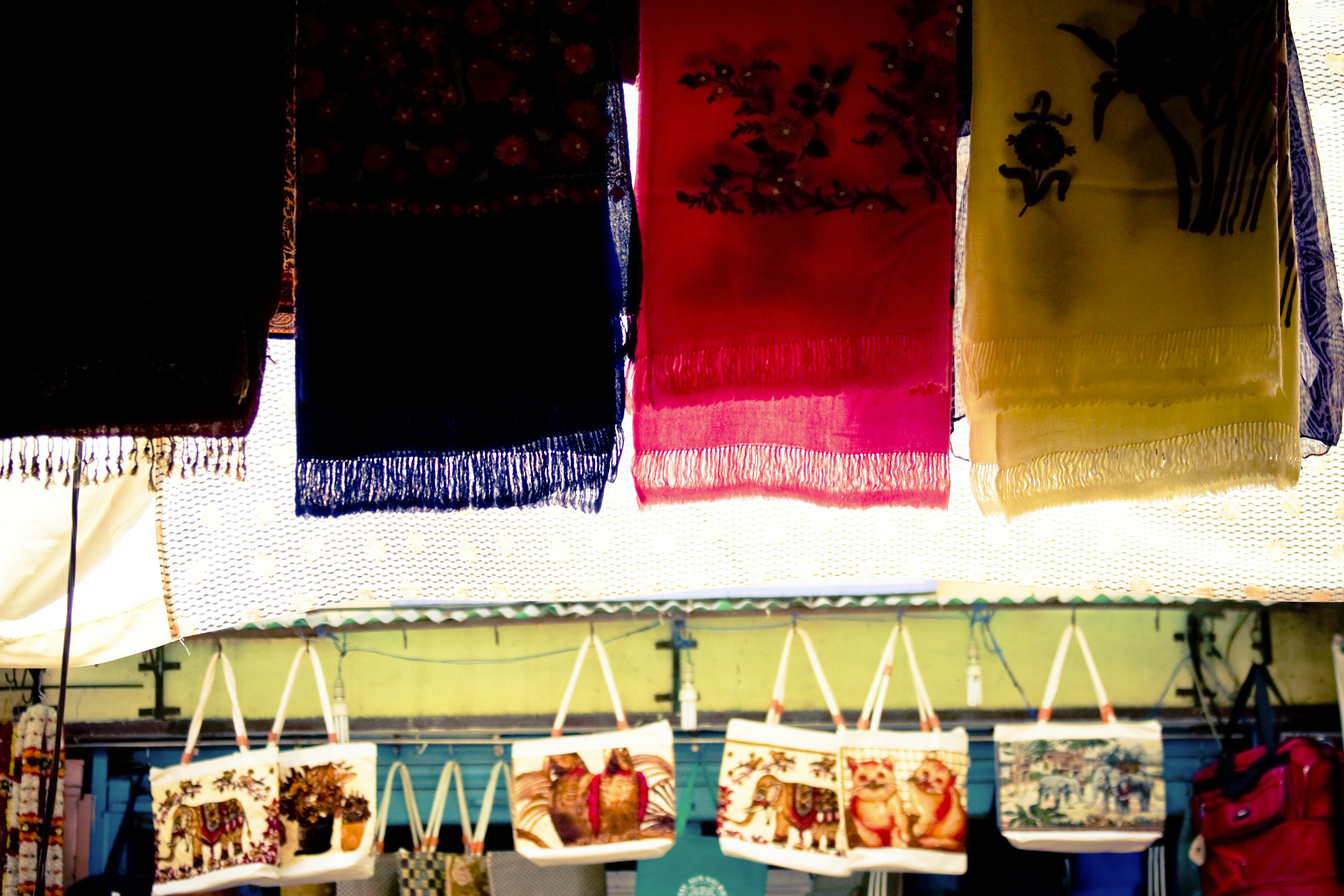 Photo by raimondklavins