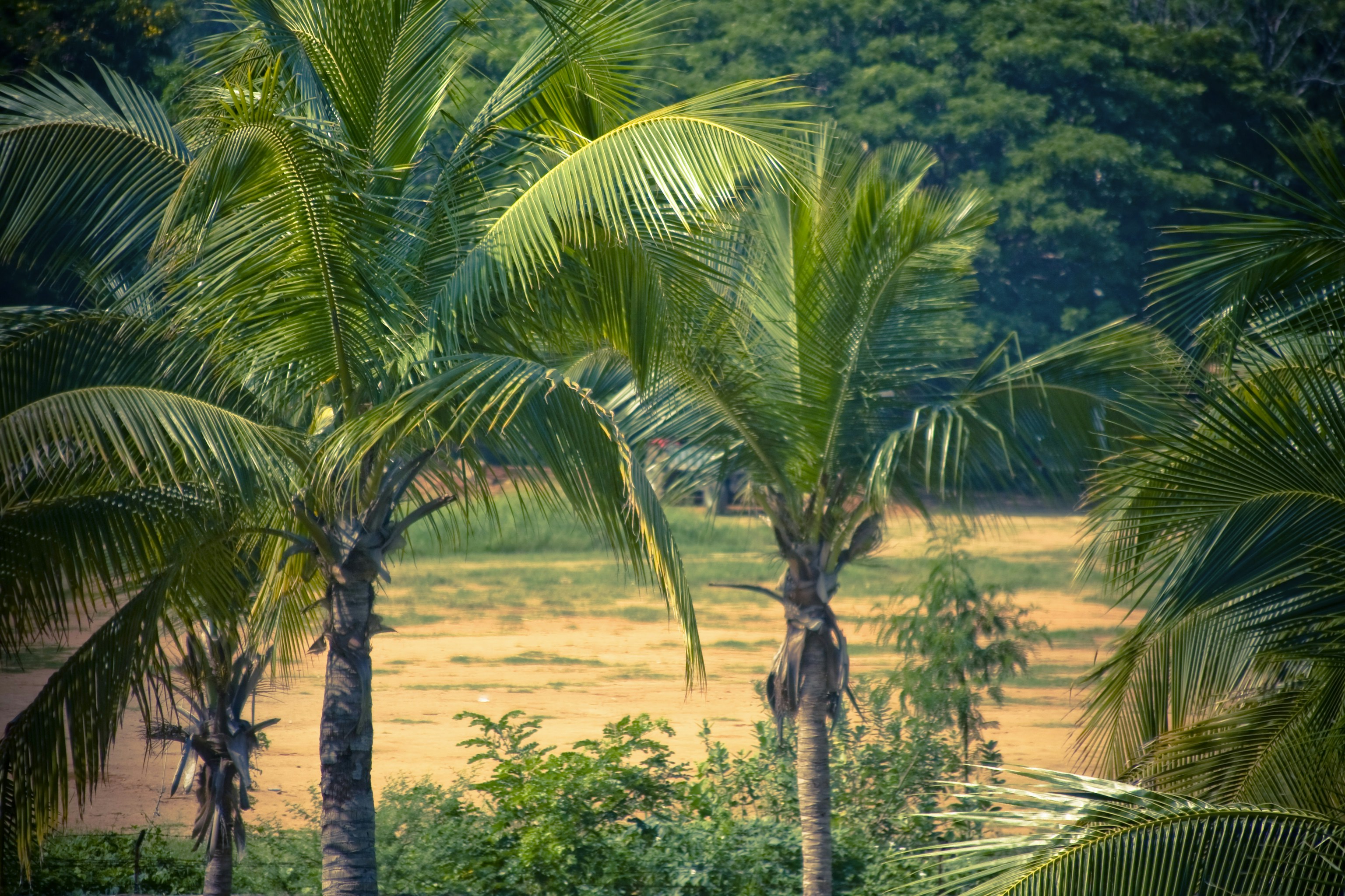 Photo by raimondklavins