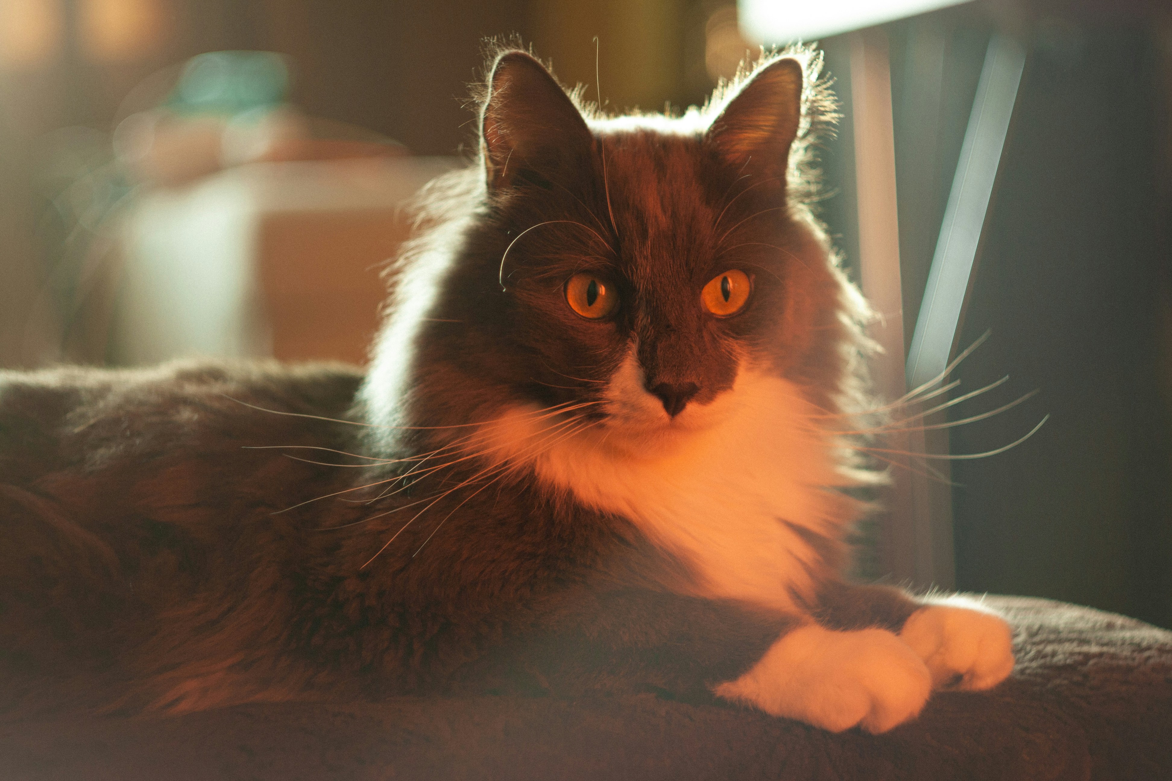 Photo by antohakraev