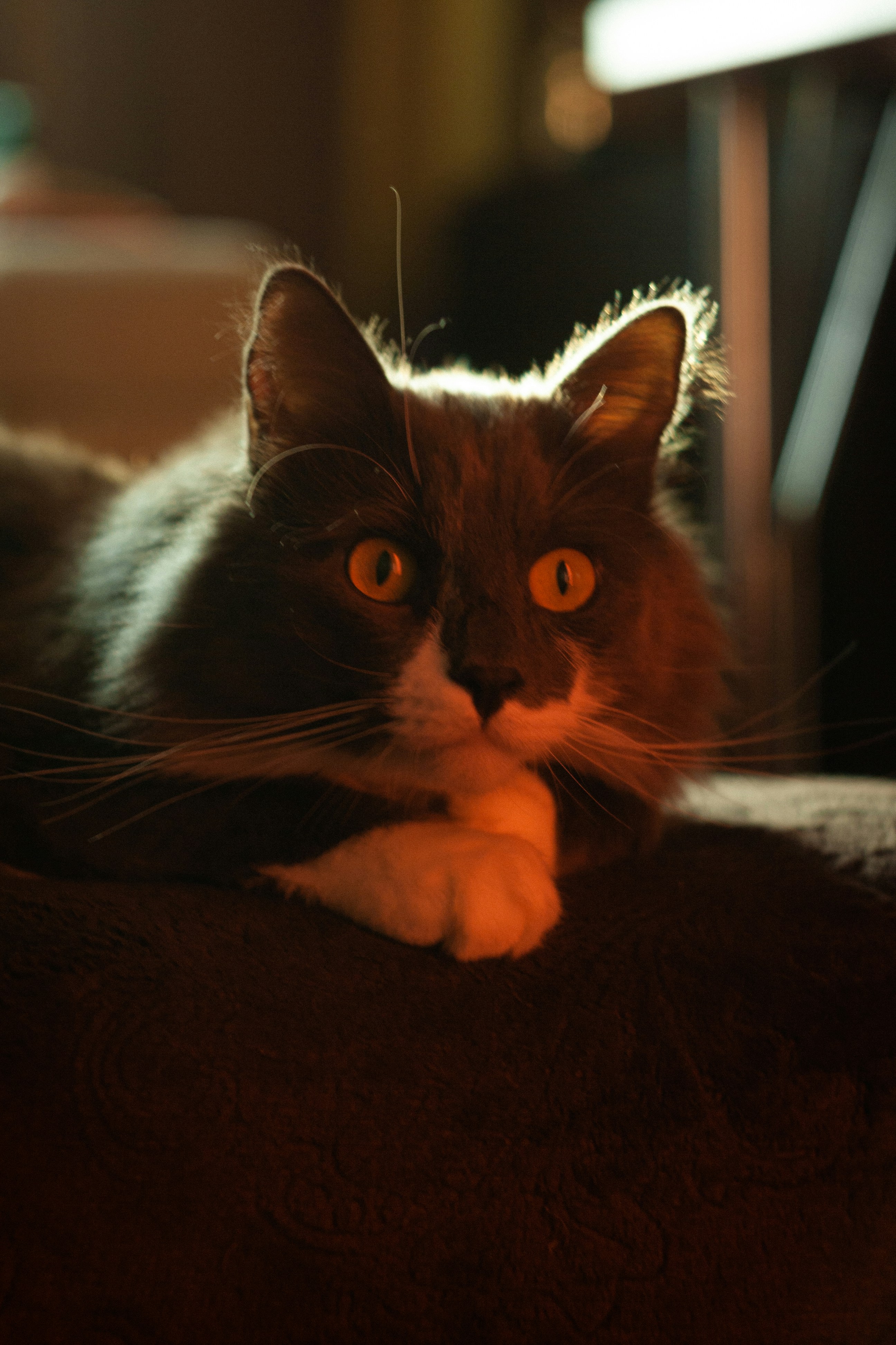 Photo by antohakraev