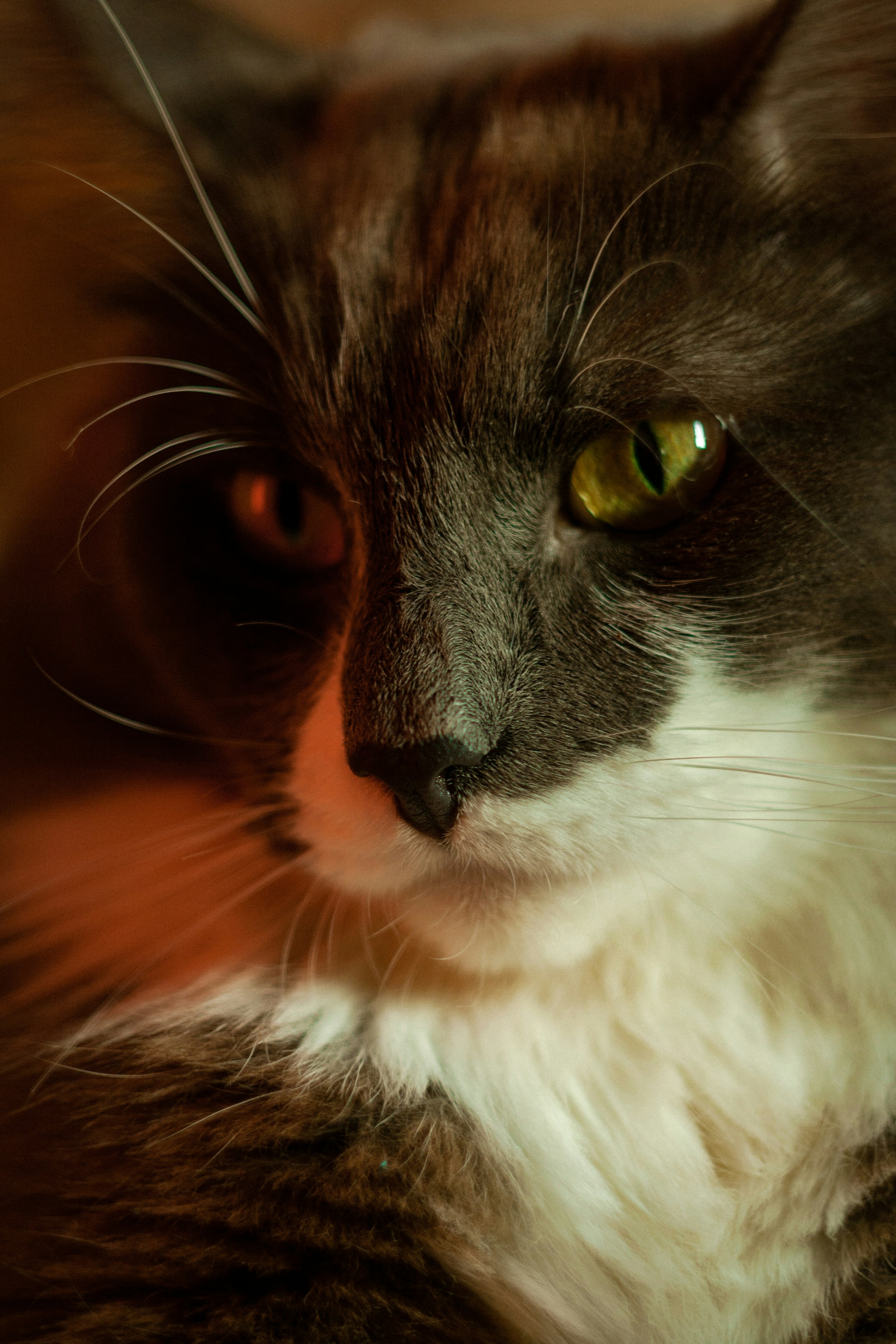 Photo by antohakraev