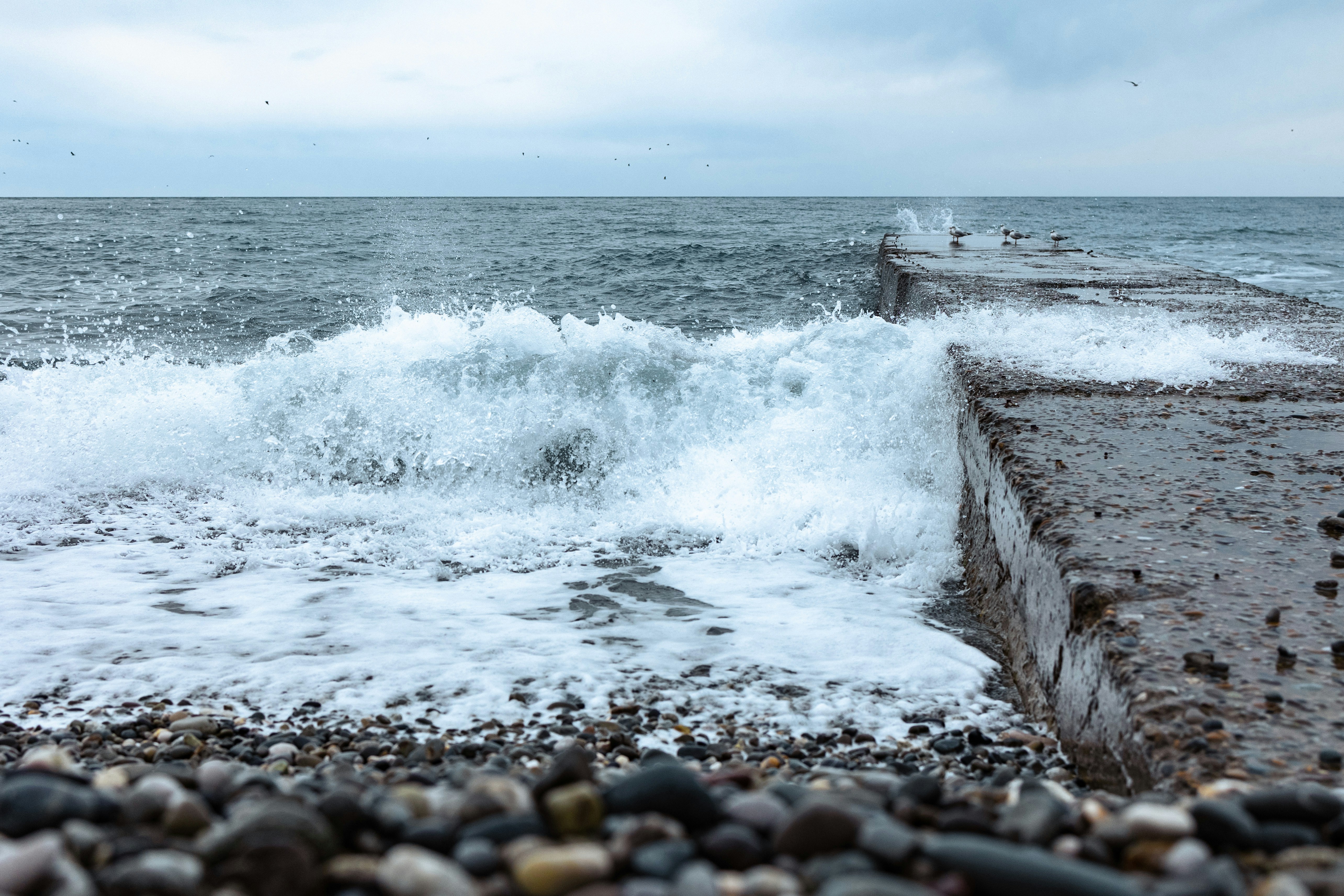 Photo by ilina_marii