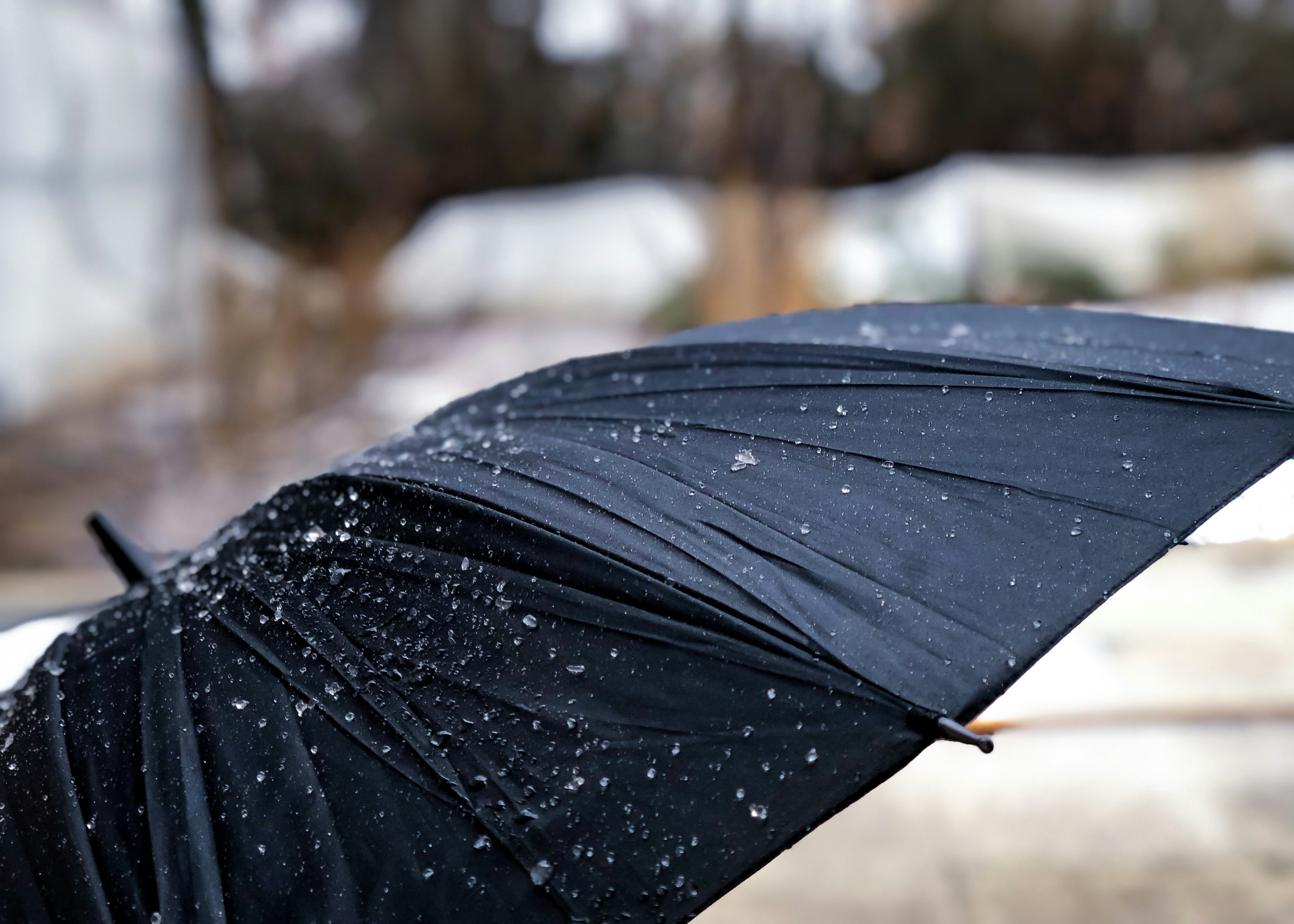 Photo by acclove2019