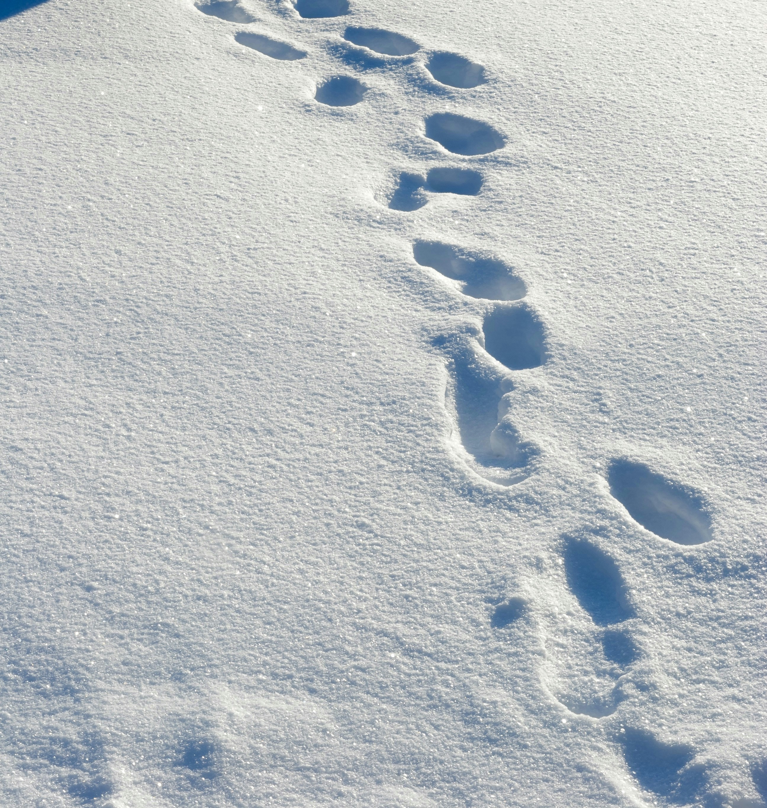 Photo by beatthebizz