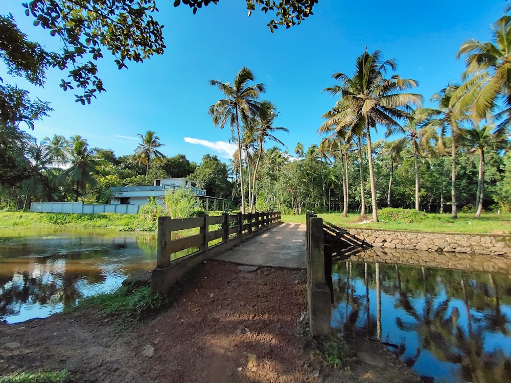 a wooden bridge over a small river surrounded by palm trees