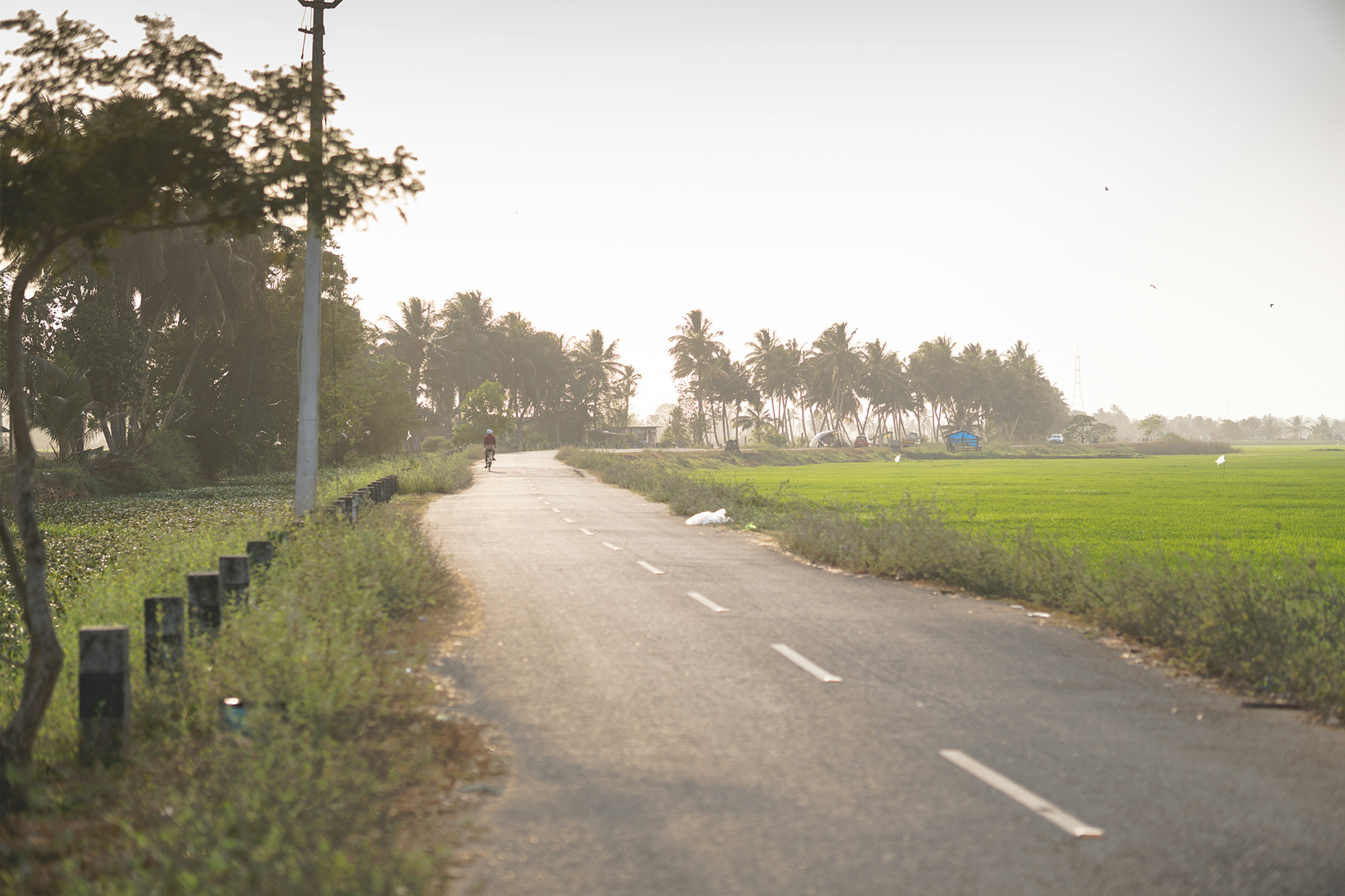 Photo by nanduvasudevan