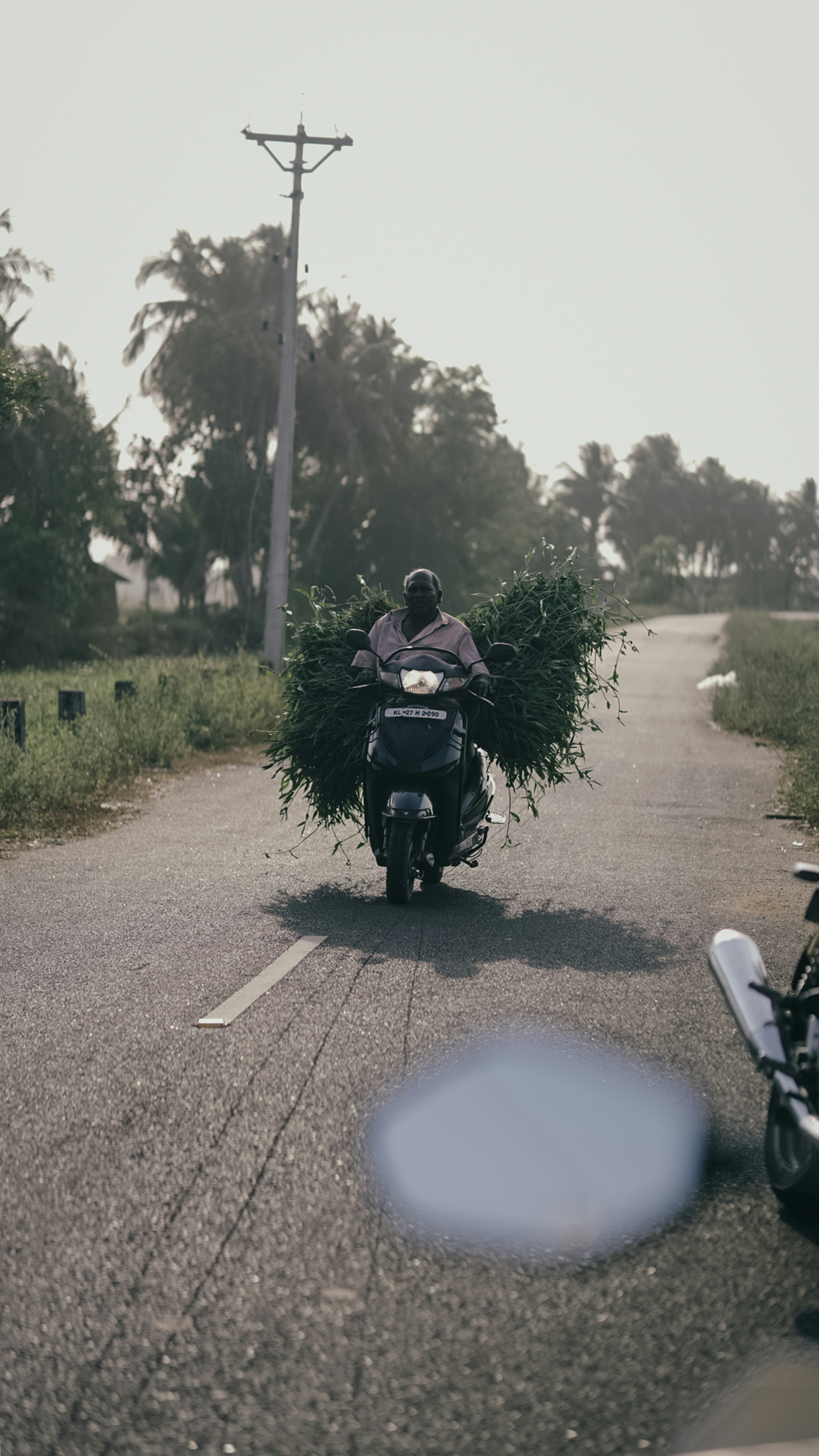 Photo by nanduvasudevan