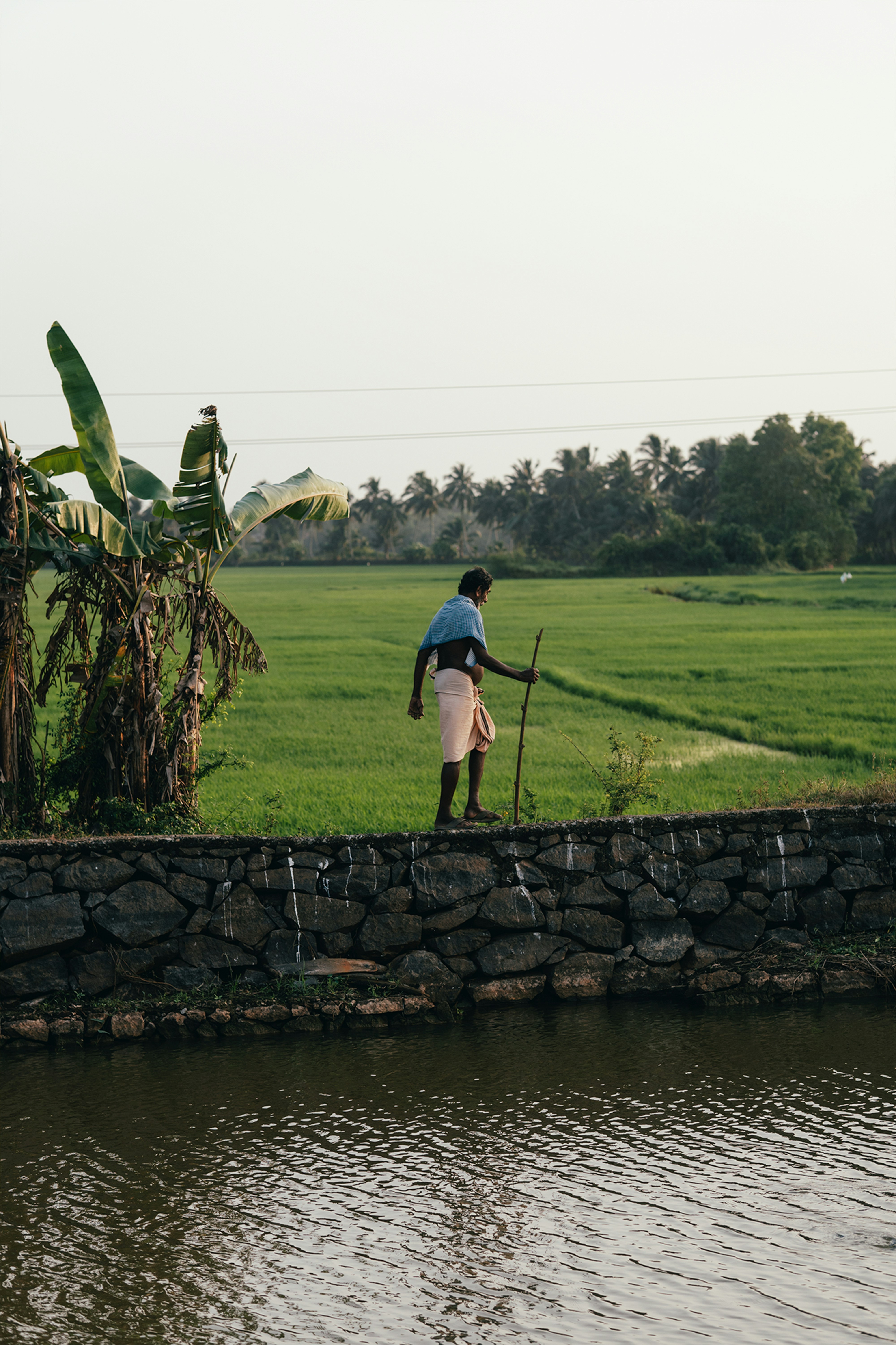 Photo by nanduvasudevan